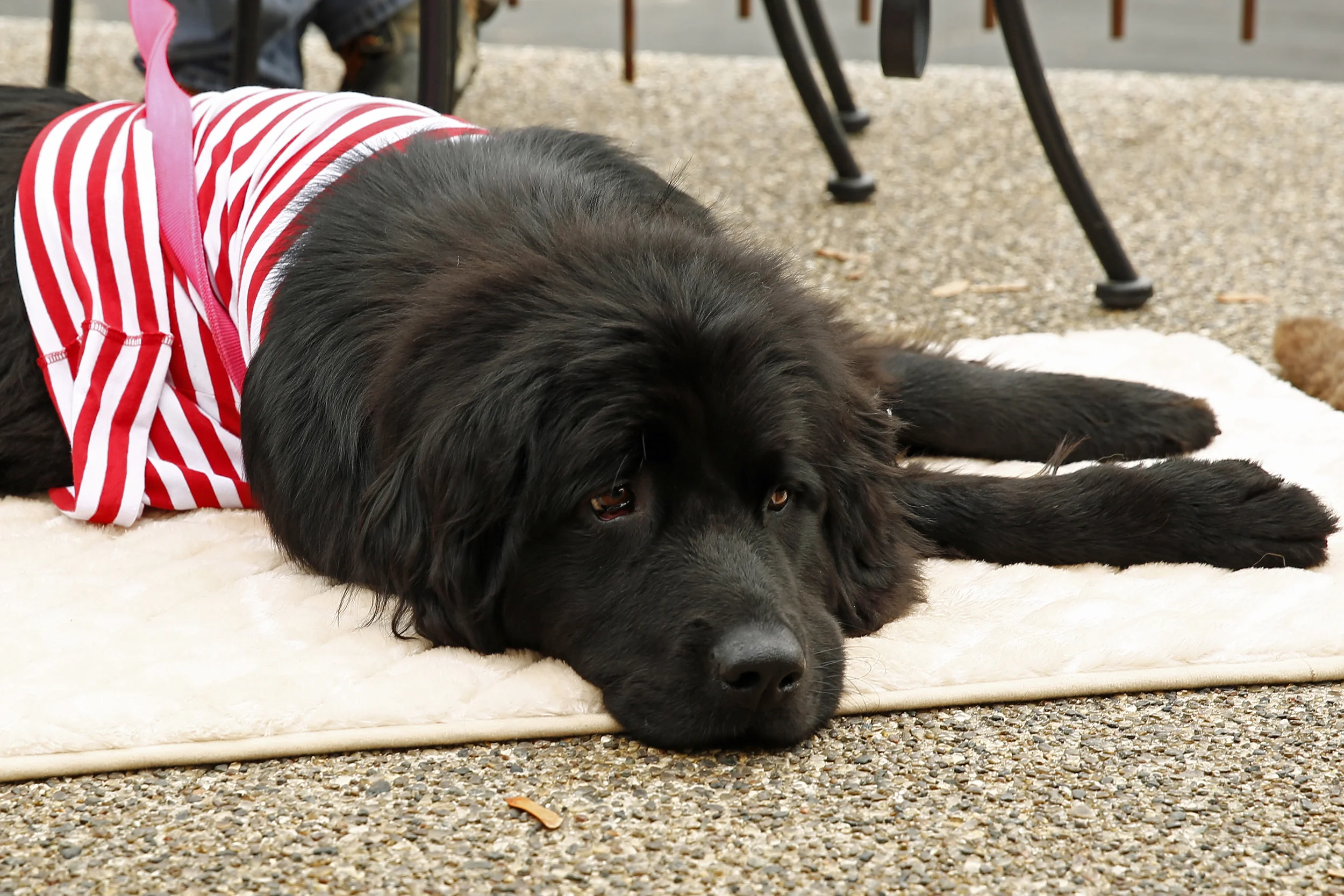 Image 1415.jpg