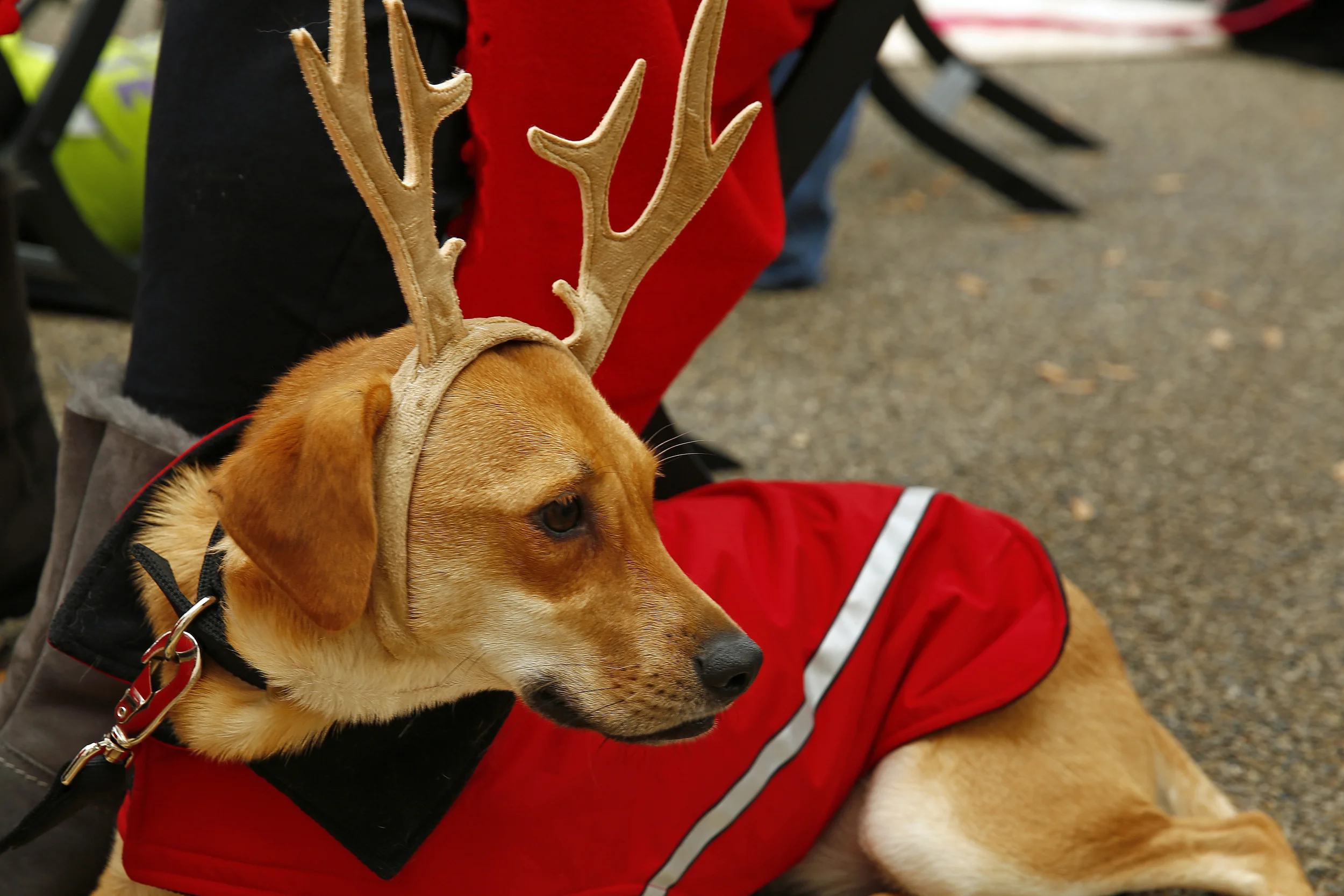 Image 1472.jpg