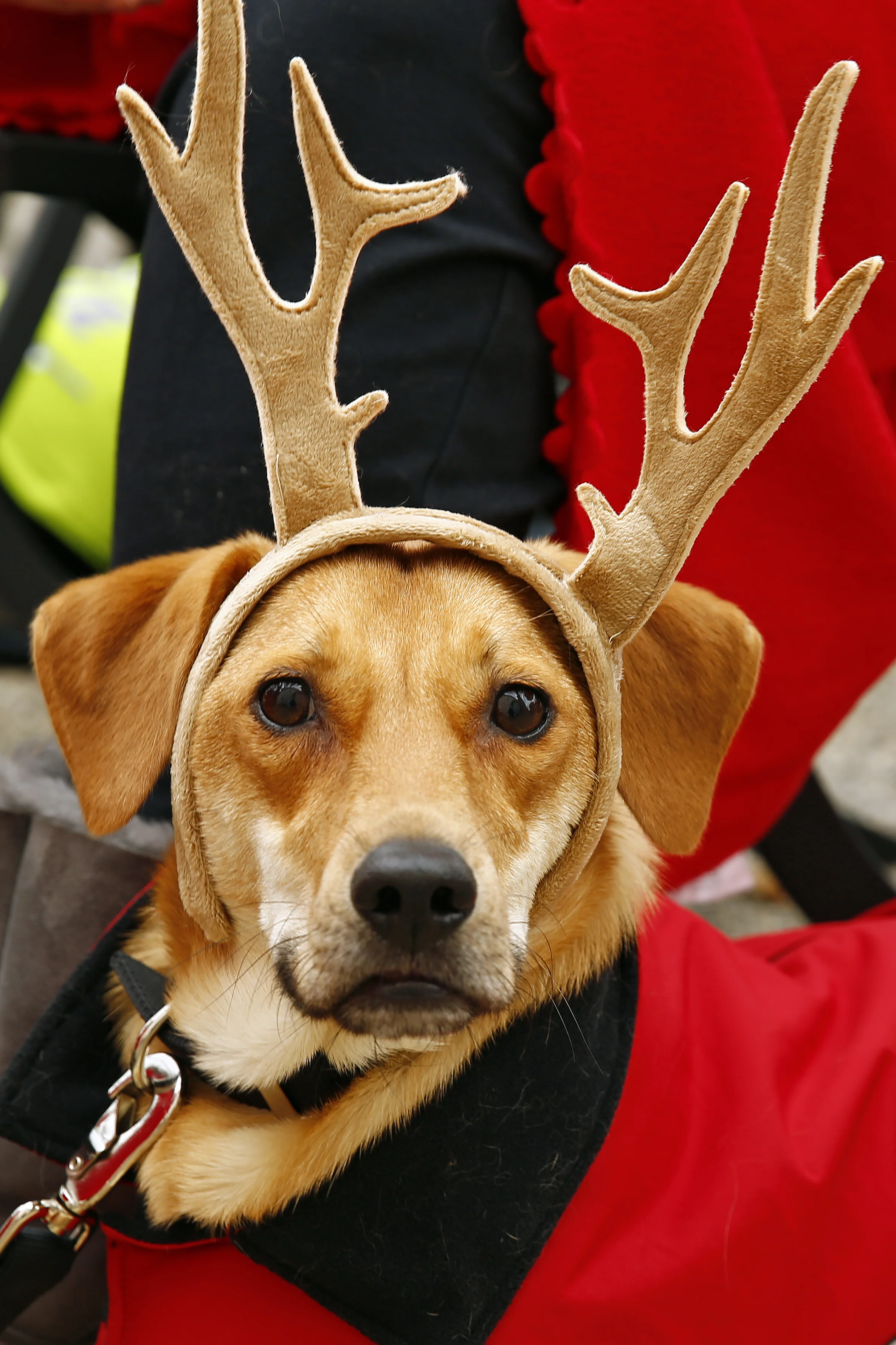 Image 1476.jpg