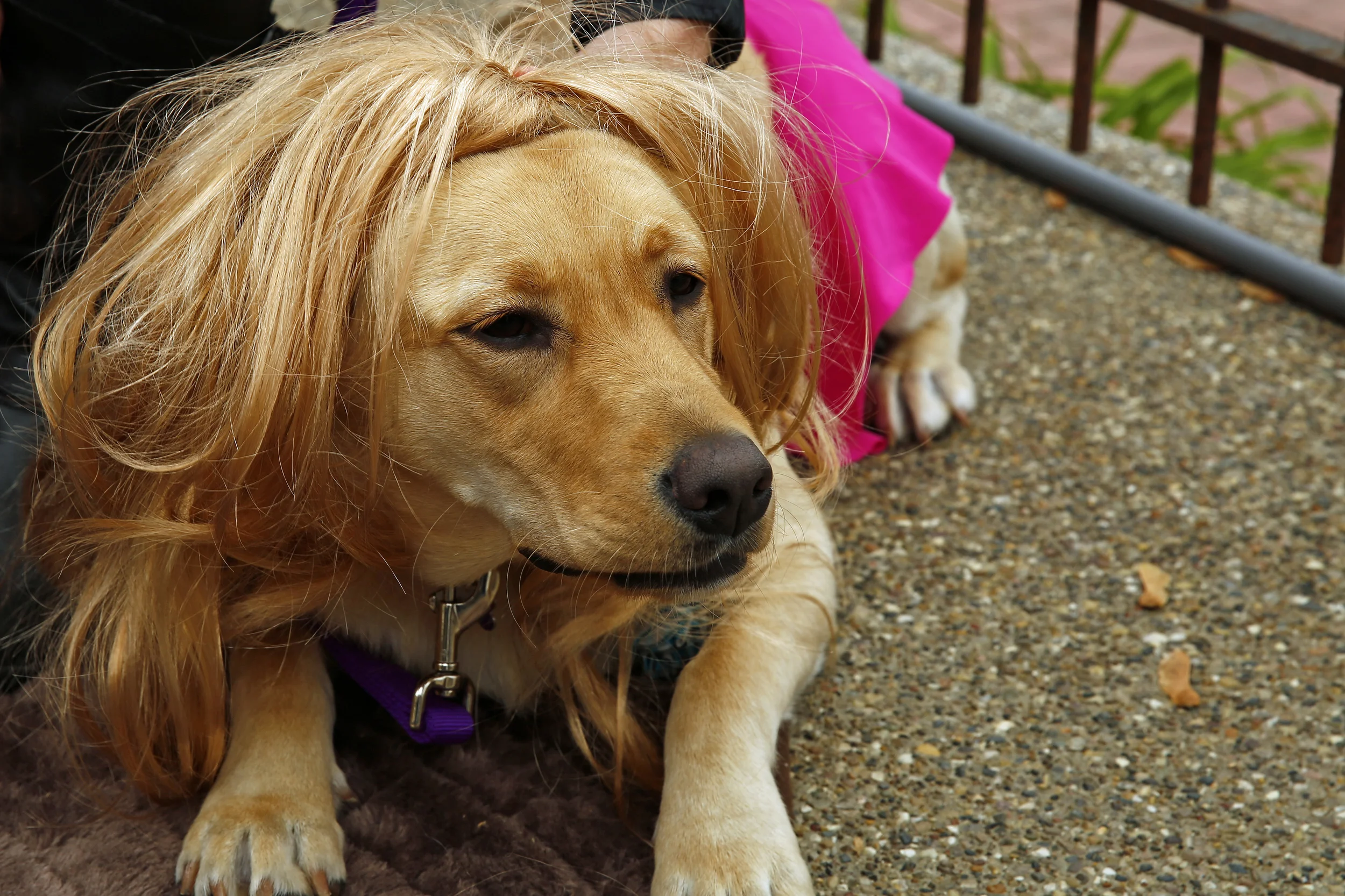 Image 1454.jpg