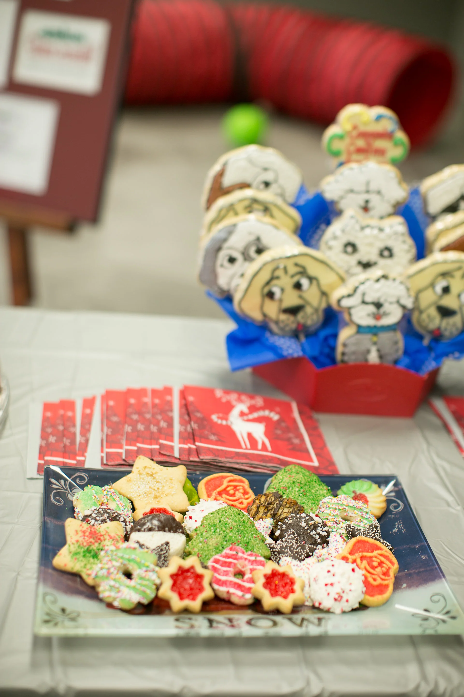 CanineAcademyDec2015-5.jpg