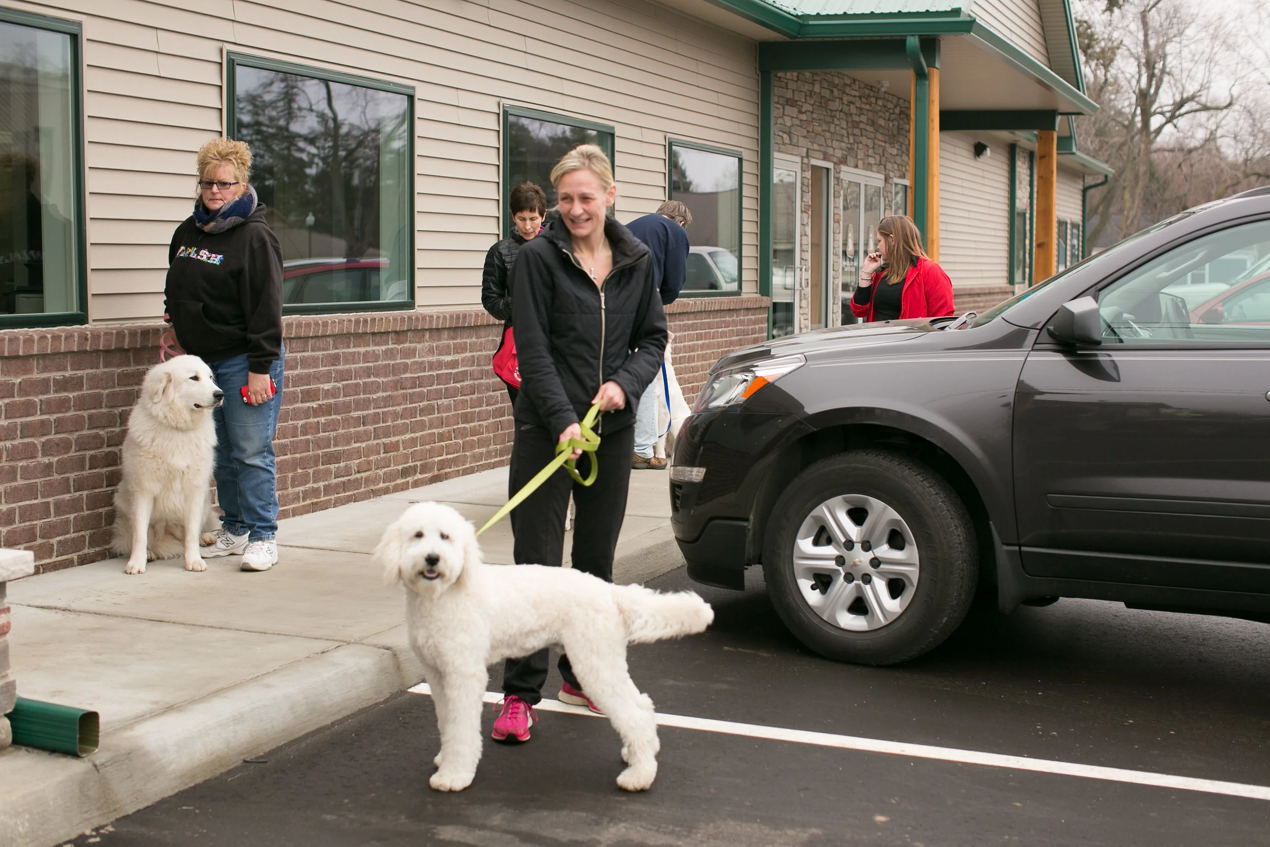 CanineAcademyDec2015-8.jpg