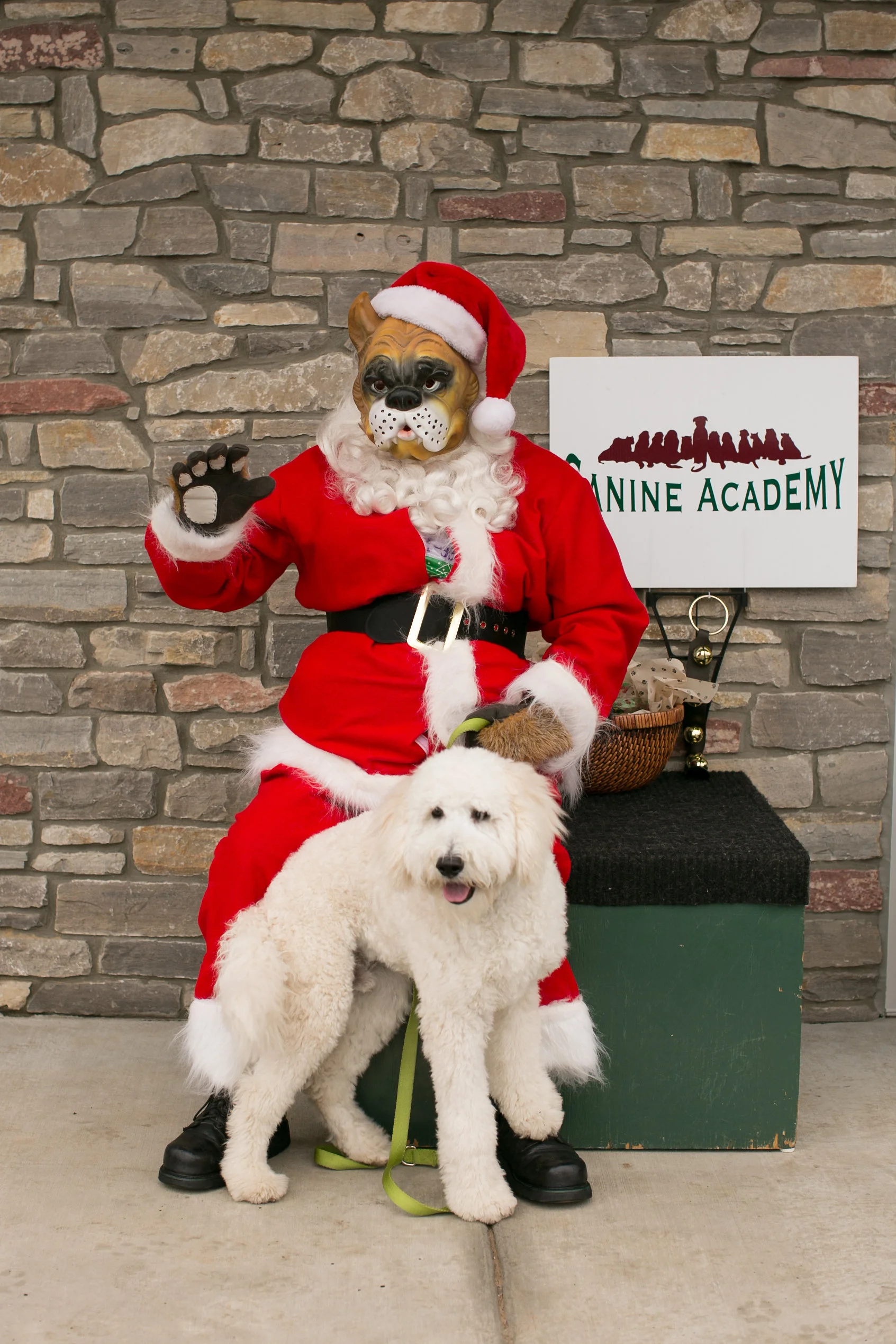 CanineAcademyDec2015-9.jpg