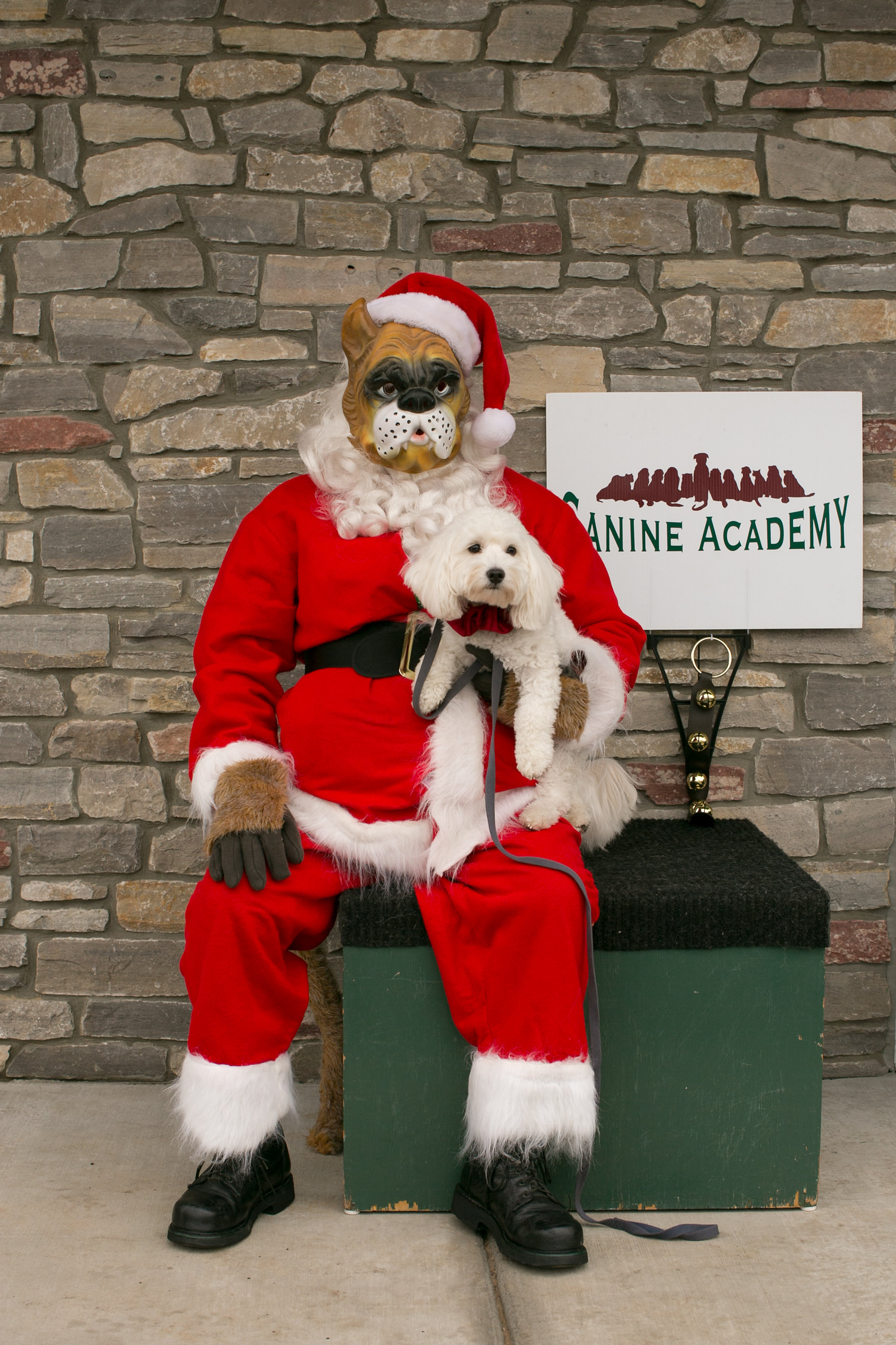 CanineAcademyDec2015-11.jpg