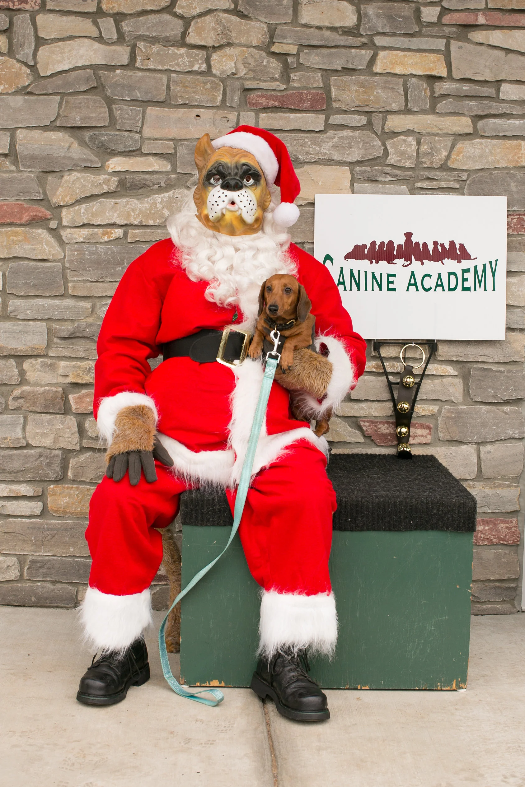 CanineAcademyDec2015-13.jpg