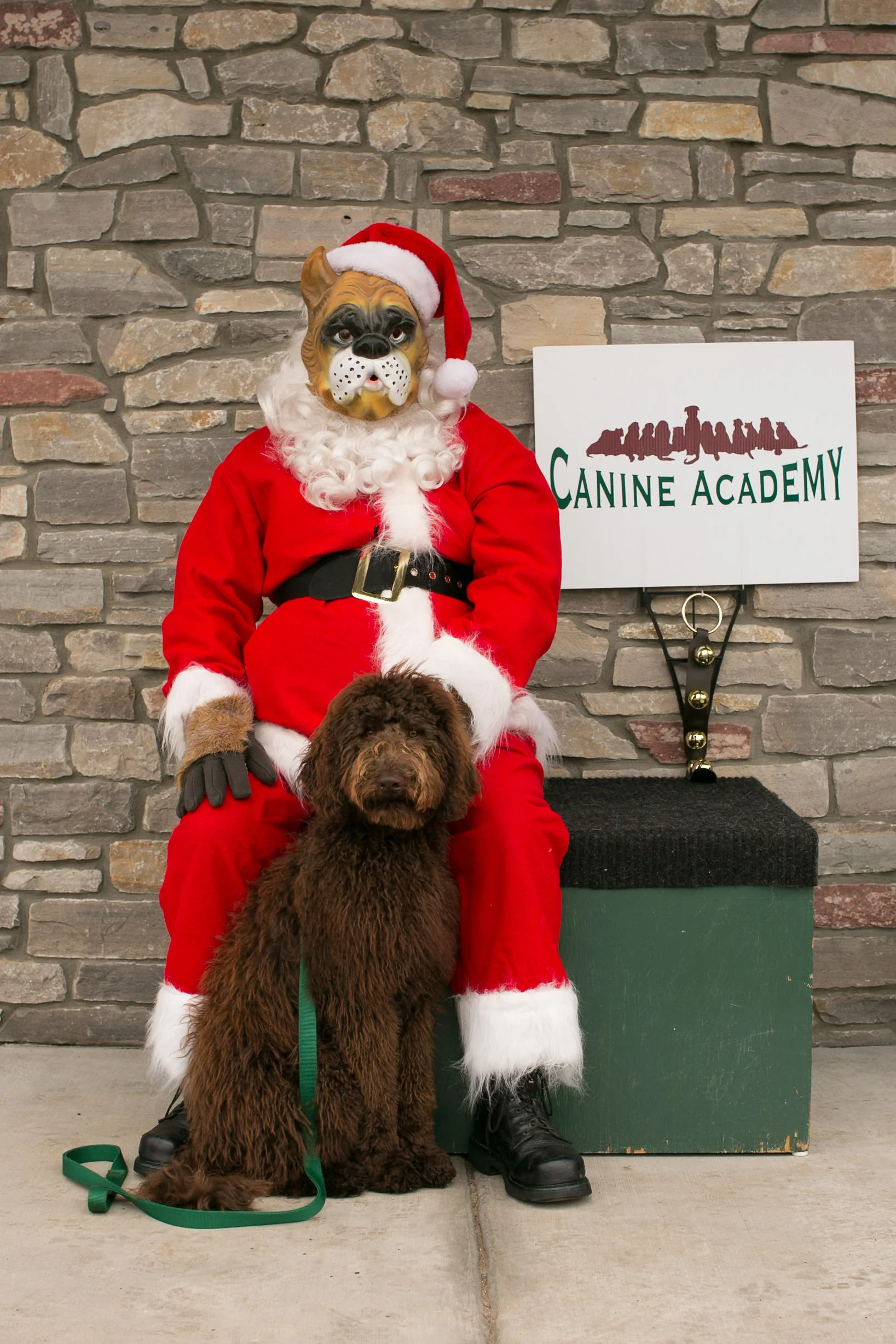 CanineAcademyDec2015-15.jpg