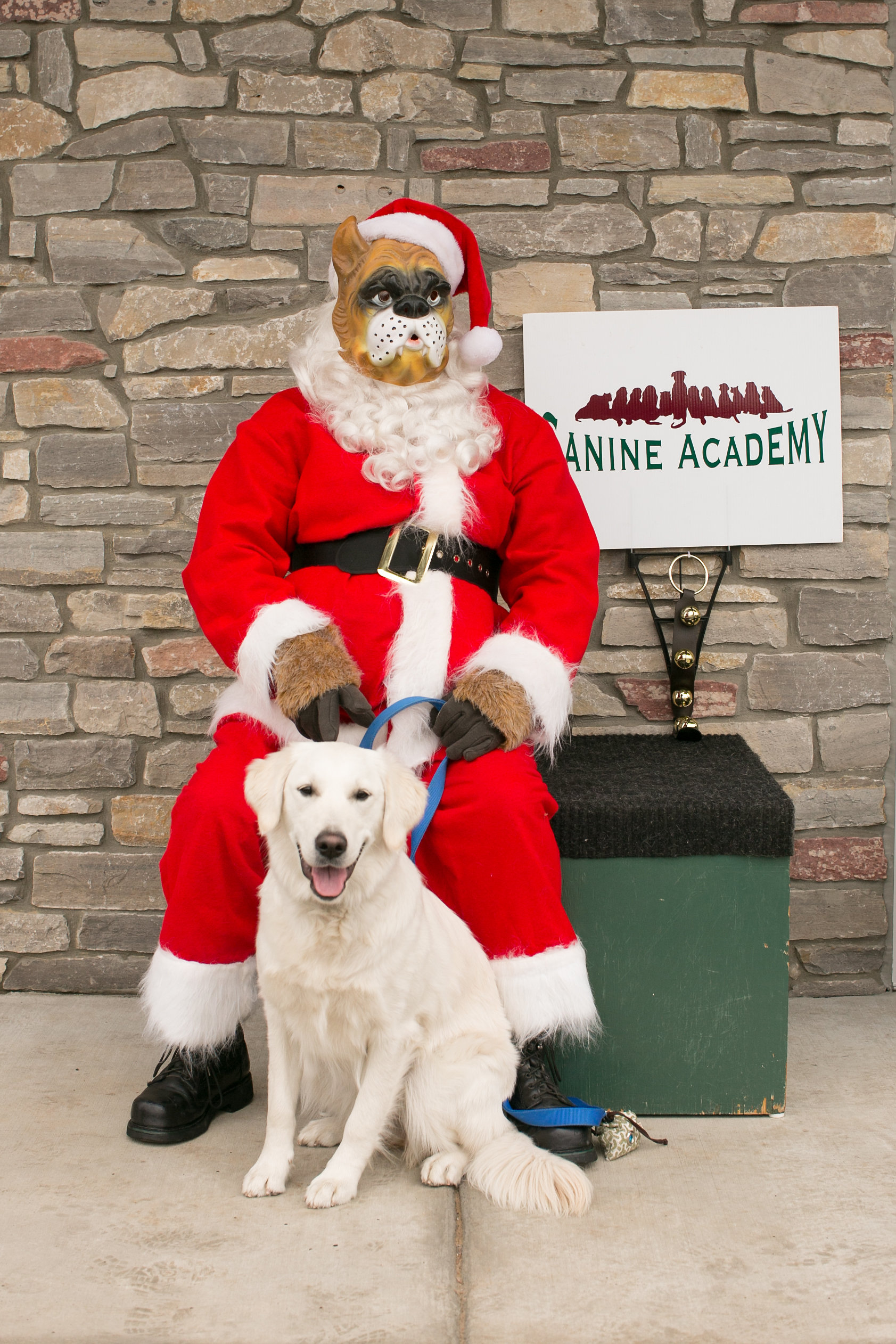 CanineAcademyDec2015-17.jpg