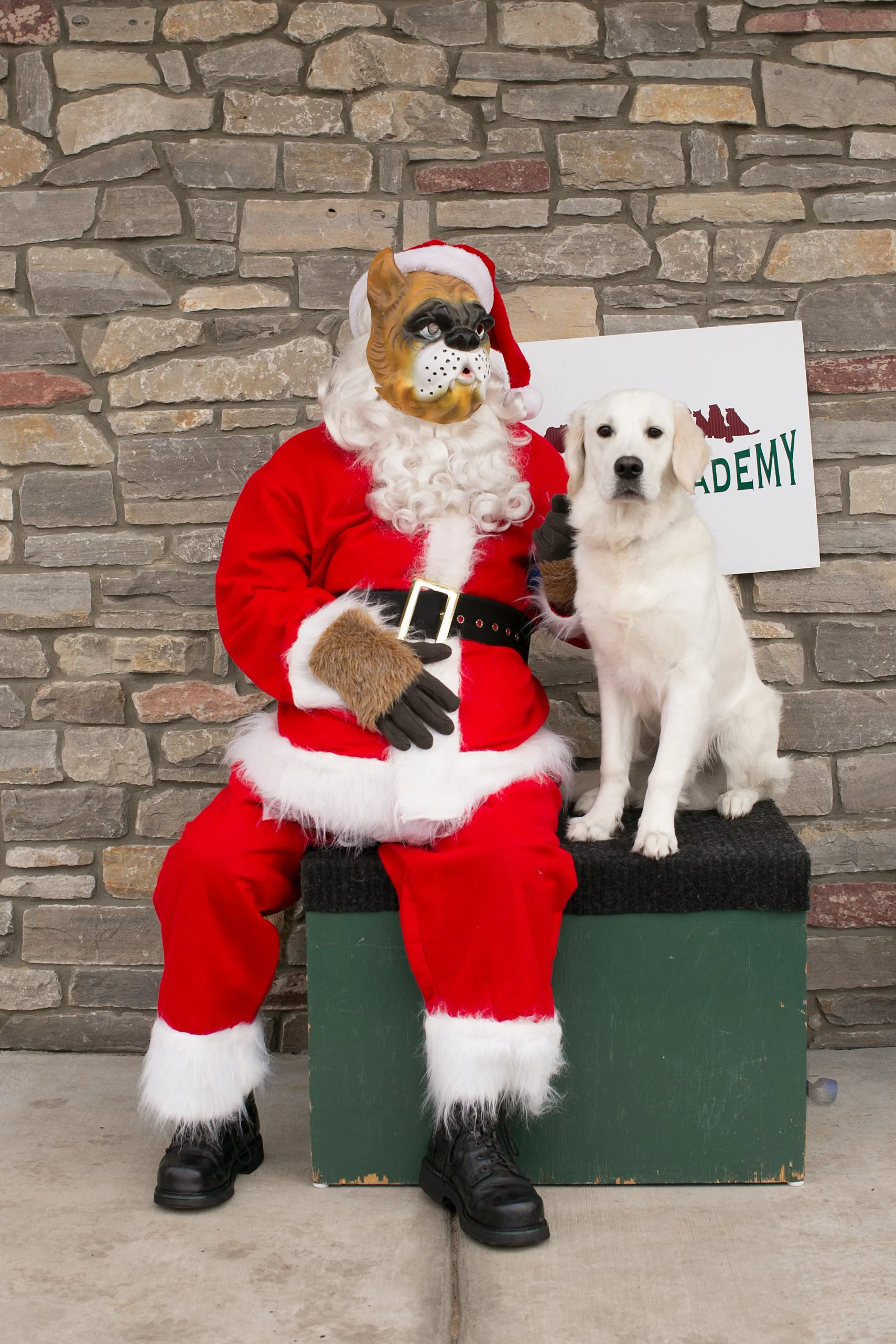 CanineAcademyDec2015-45.jpg