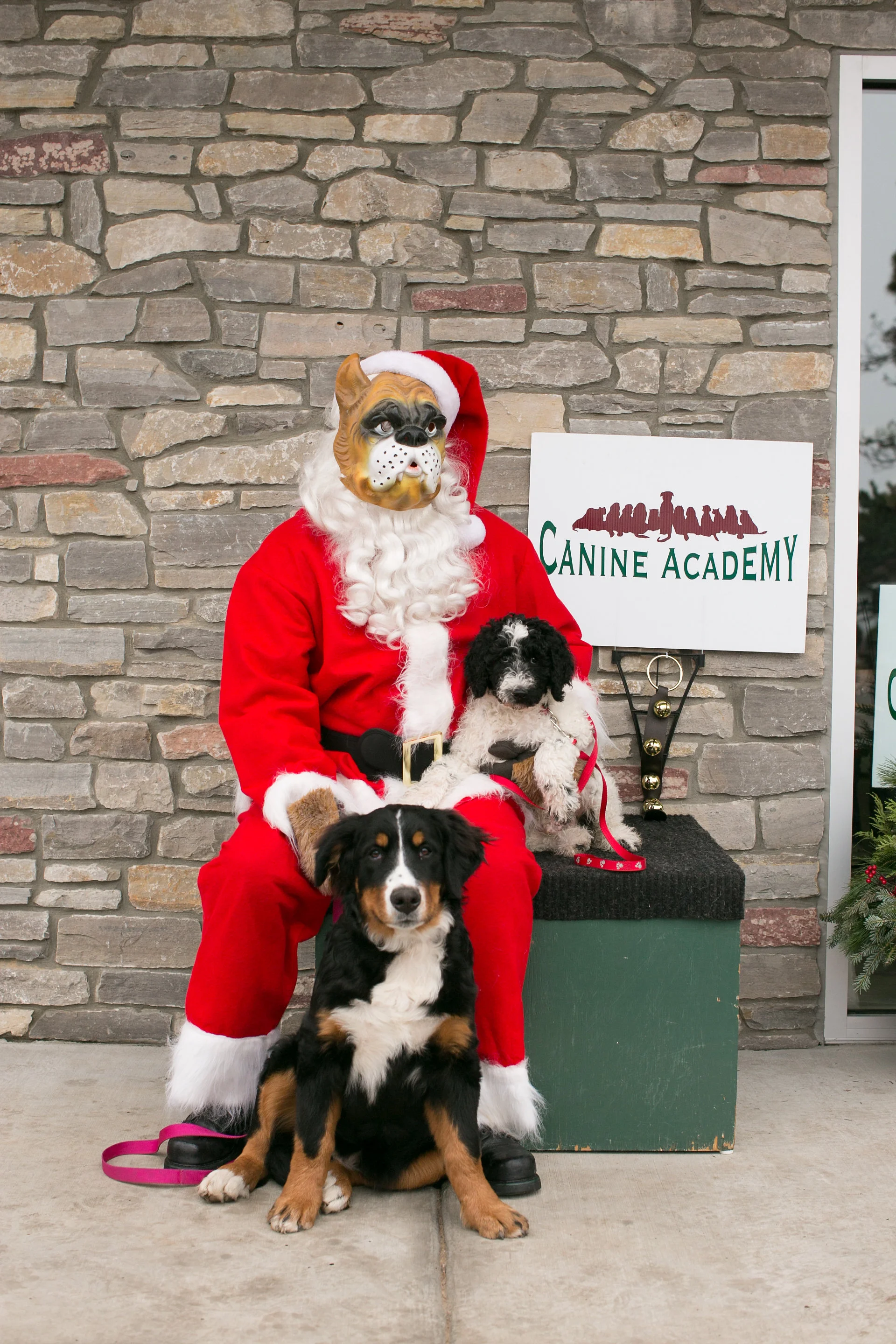 CanineAcademyDec2015-90.jpg