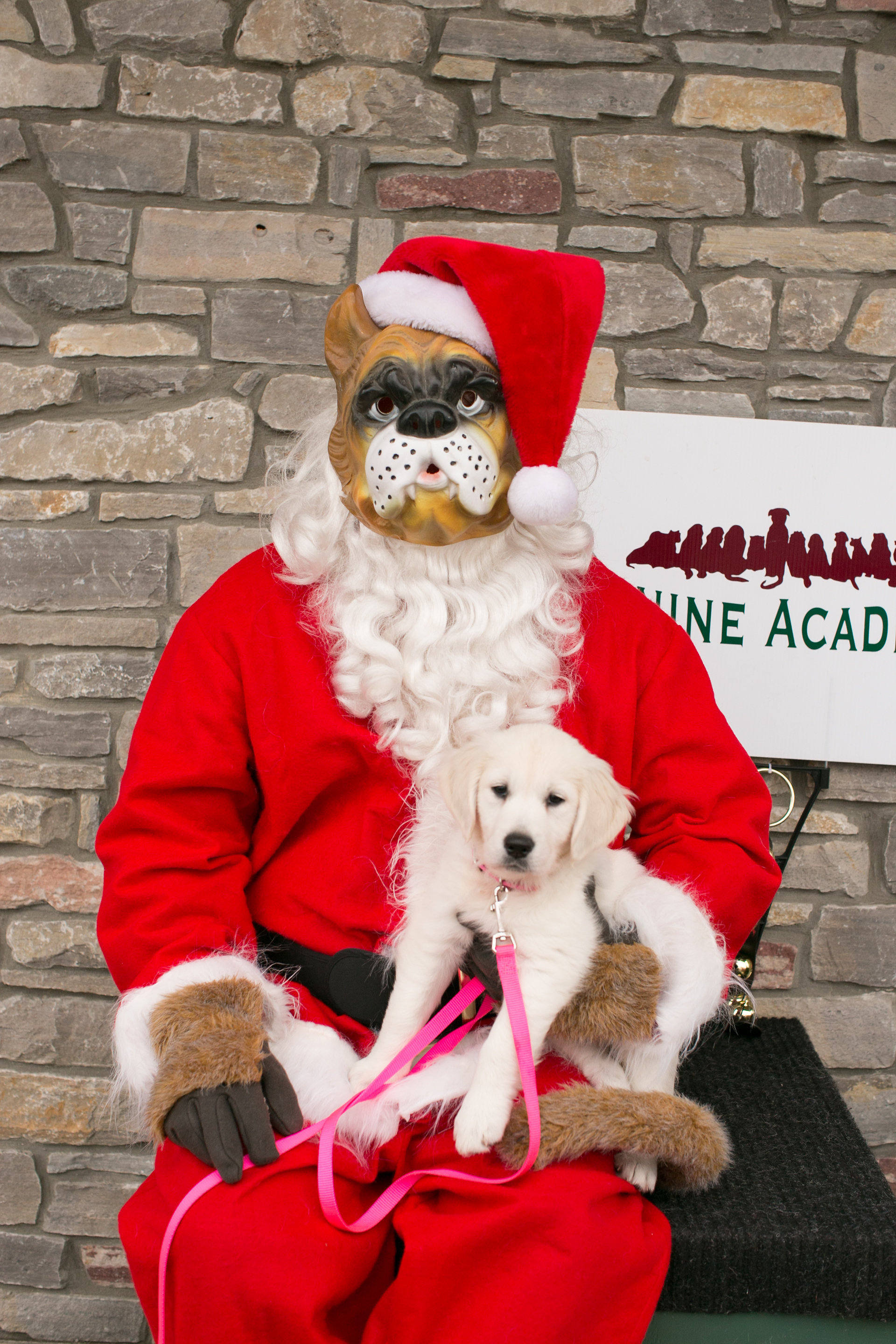 CanineAcademyDec2015-128.jpg
