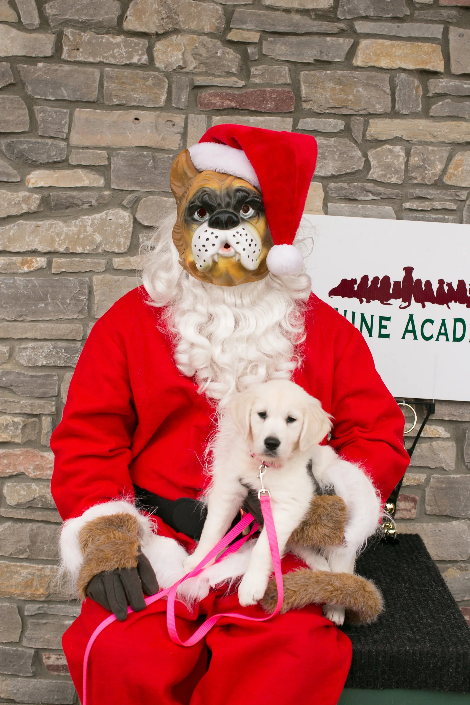 CanineAcademyDec2015-128.jpg