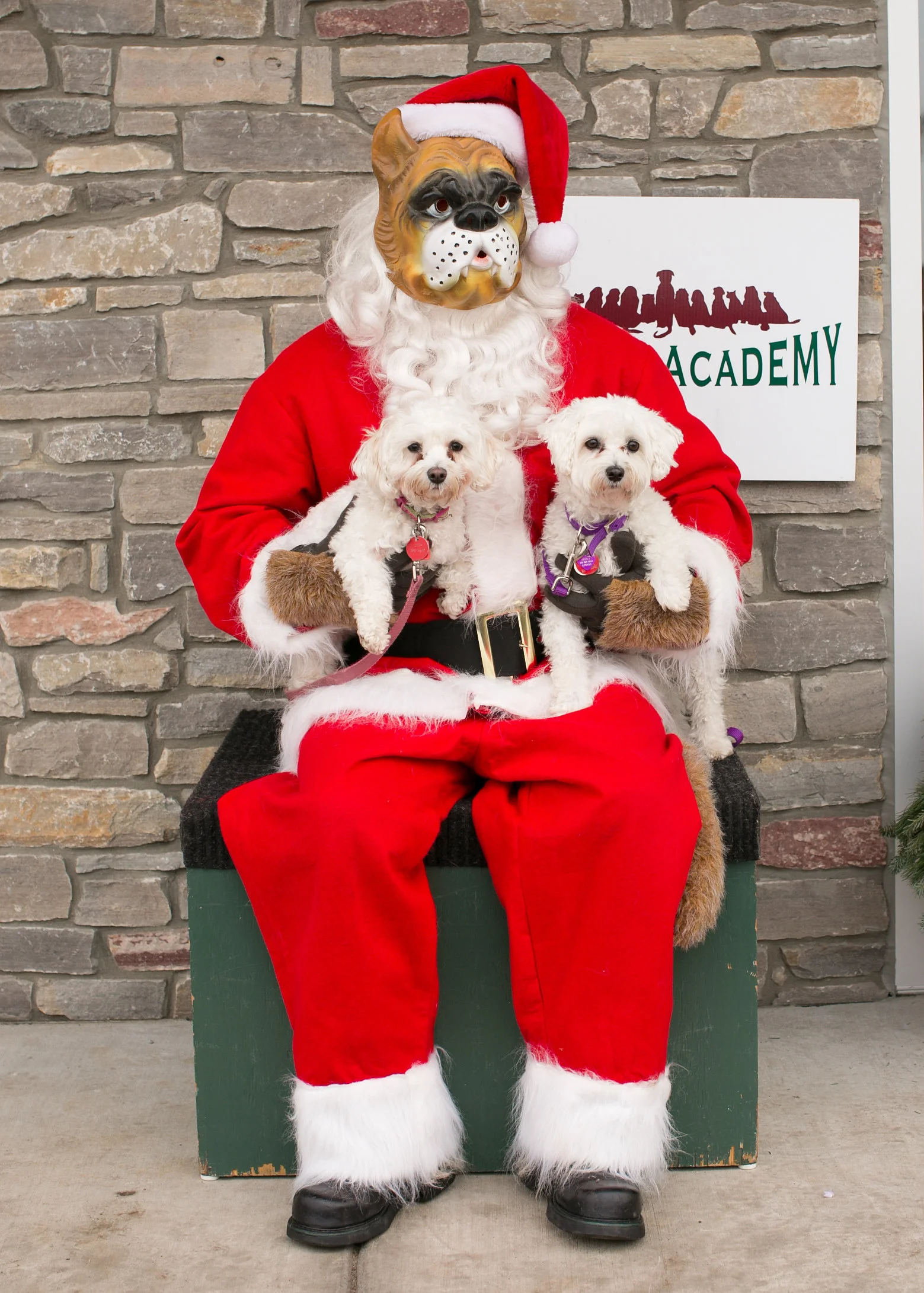 CanineAcademyDec2015-134.jpg