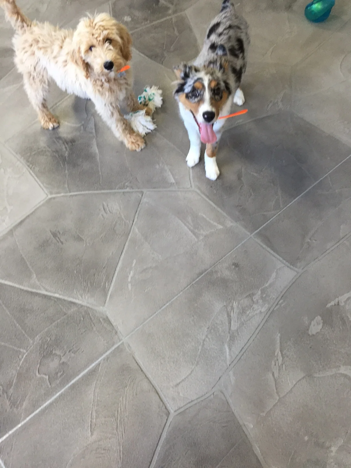 huck&brady3.JPG
