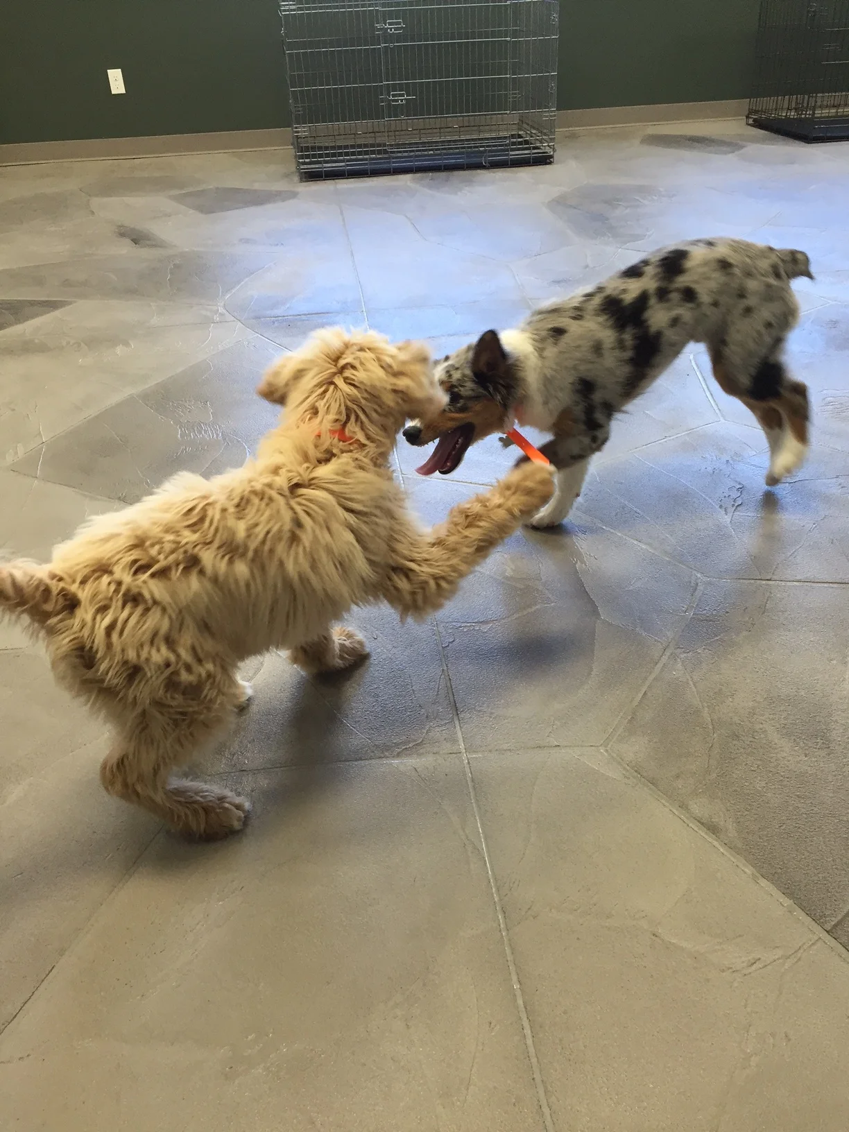 Huck&Brady.JPG
