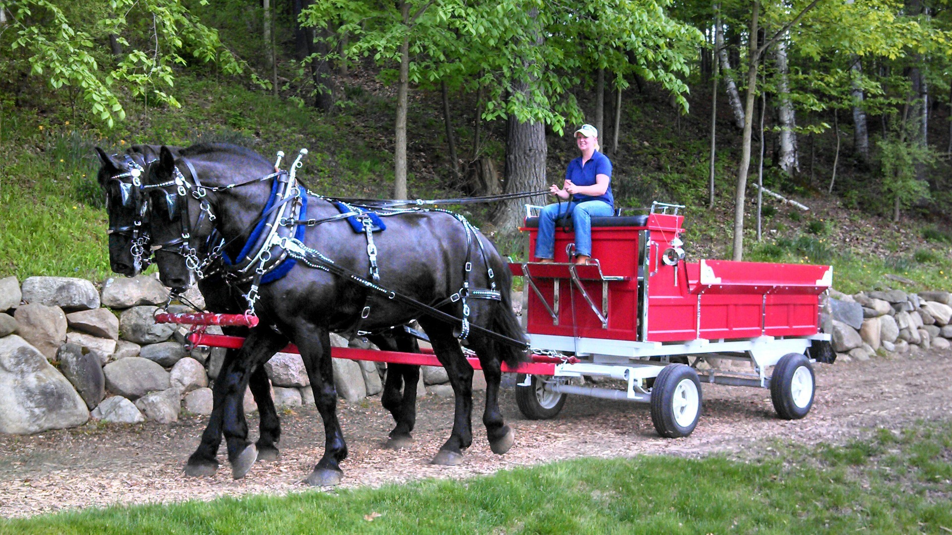 carriage.jpg