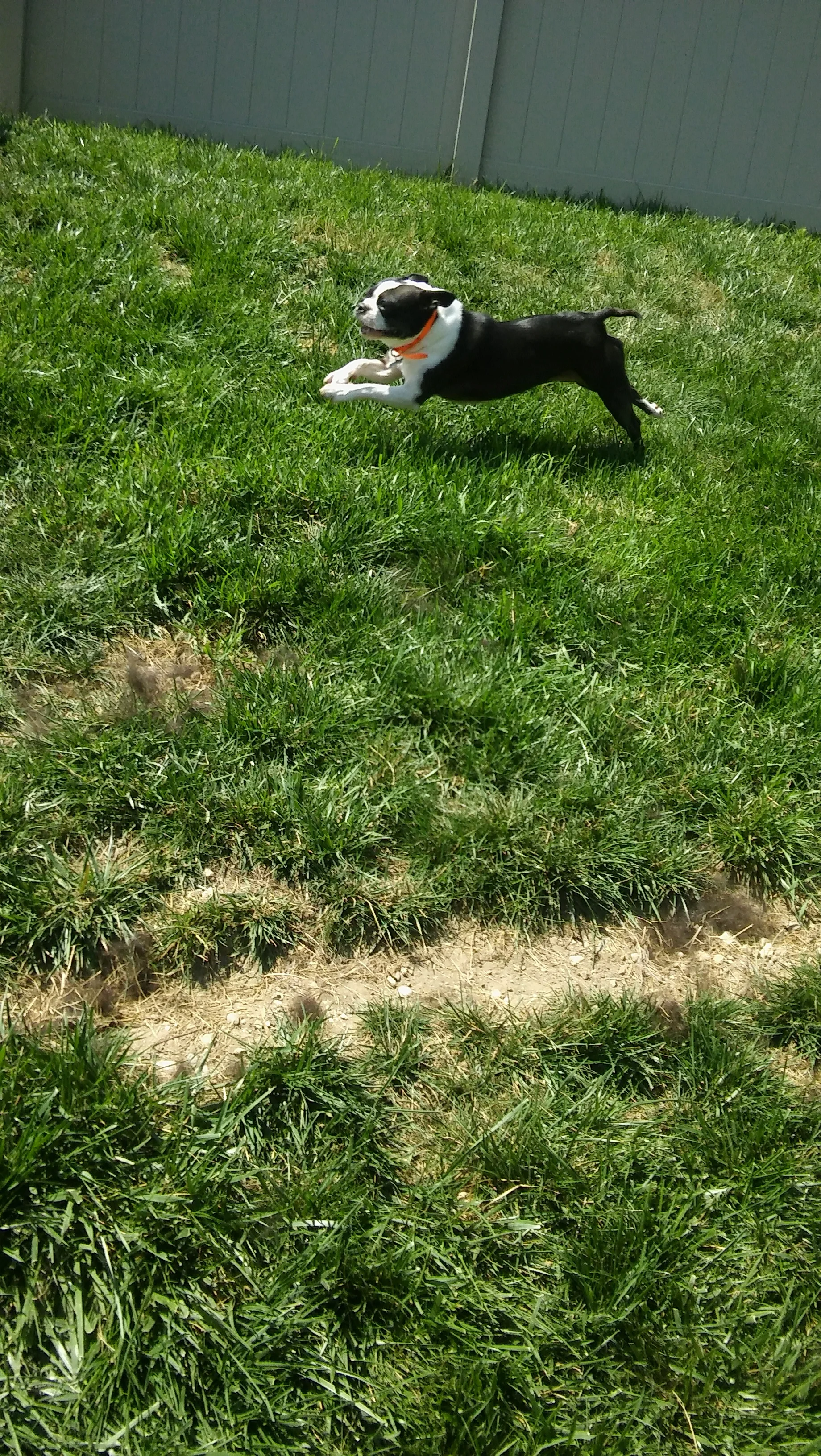 20170730_123809.jpg