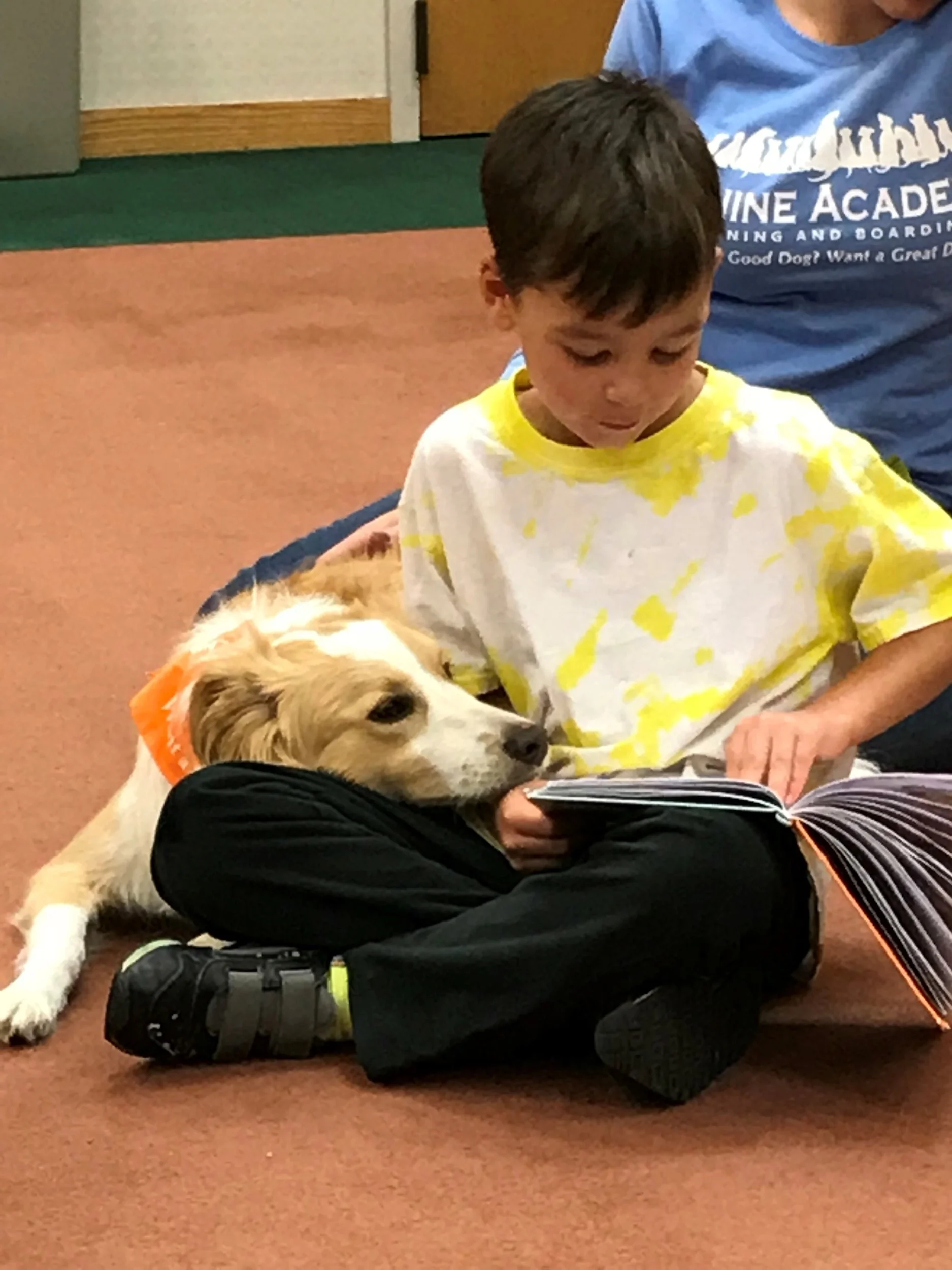 good owners great dogs