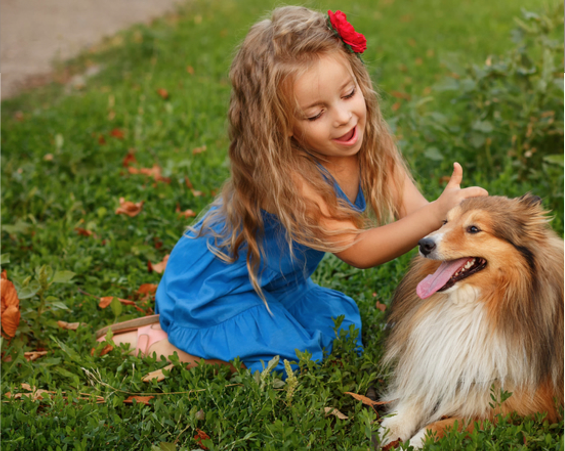 Screen Shot 2018-05-04 at 11.00.15 AM.png