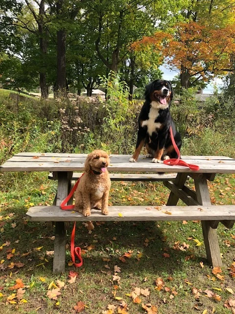 fall.jpg