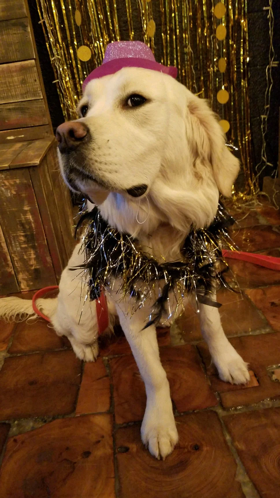 nye8.JPG