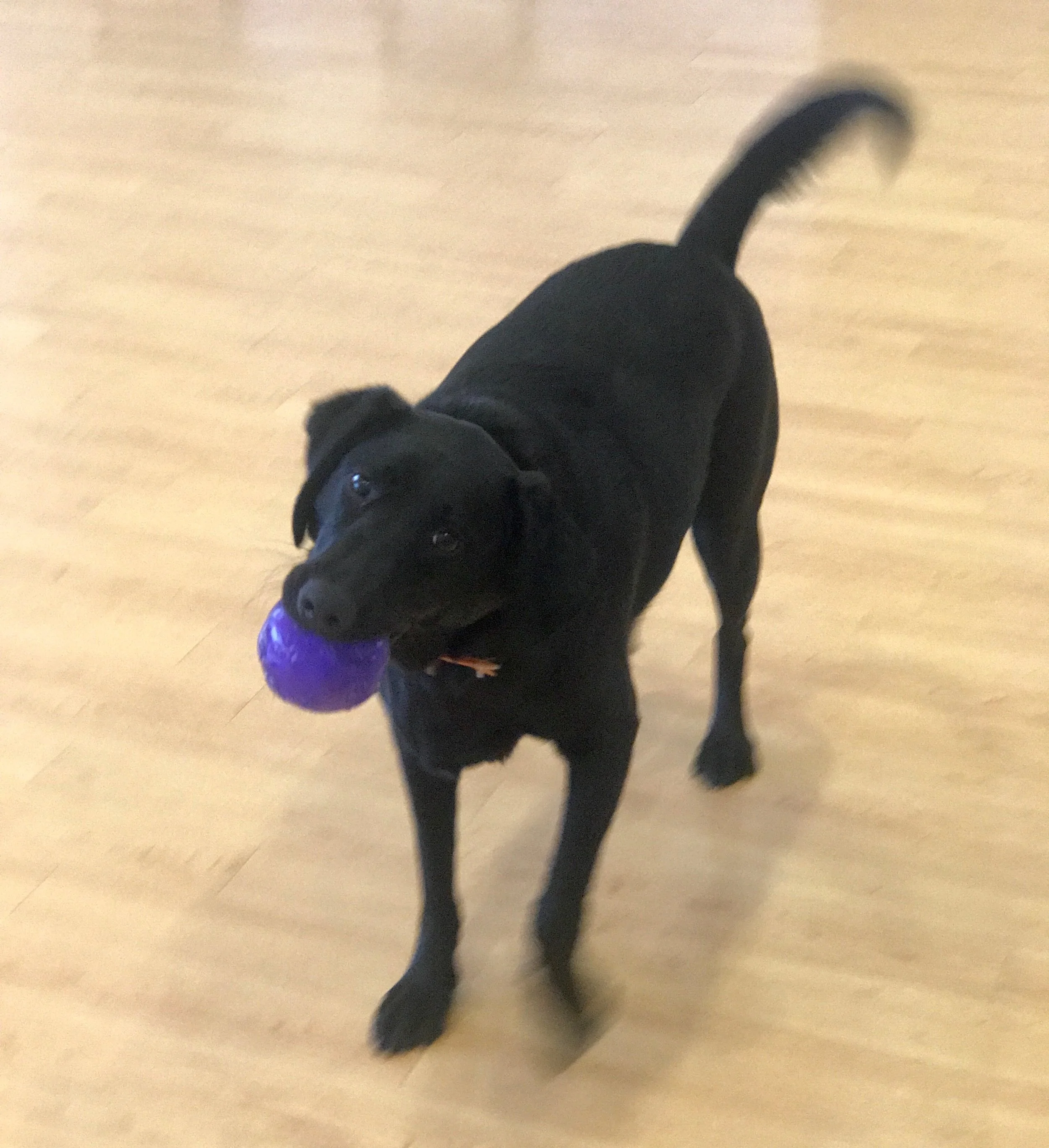 image1.jpeg
