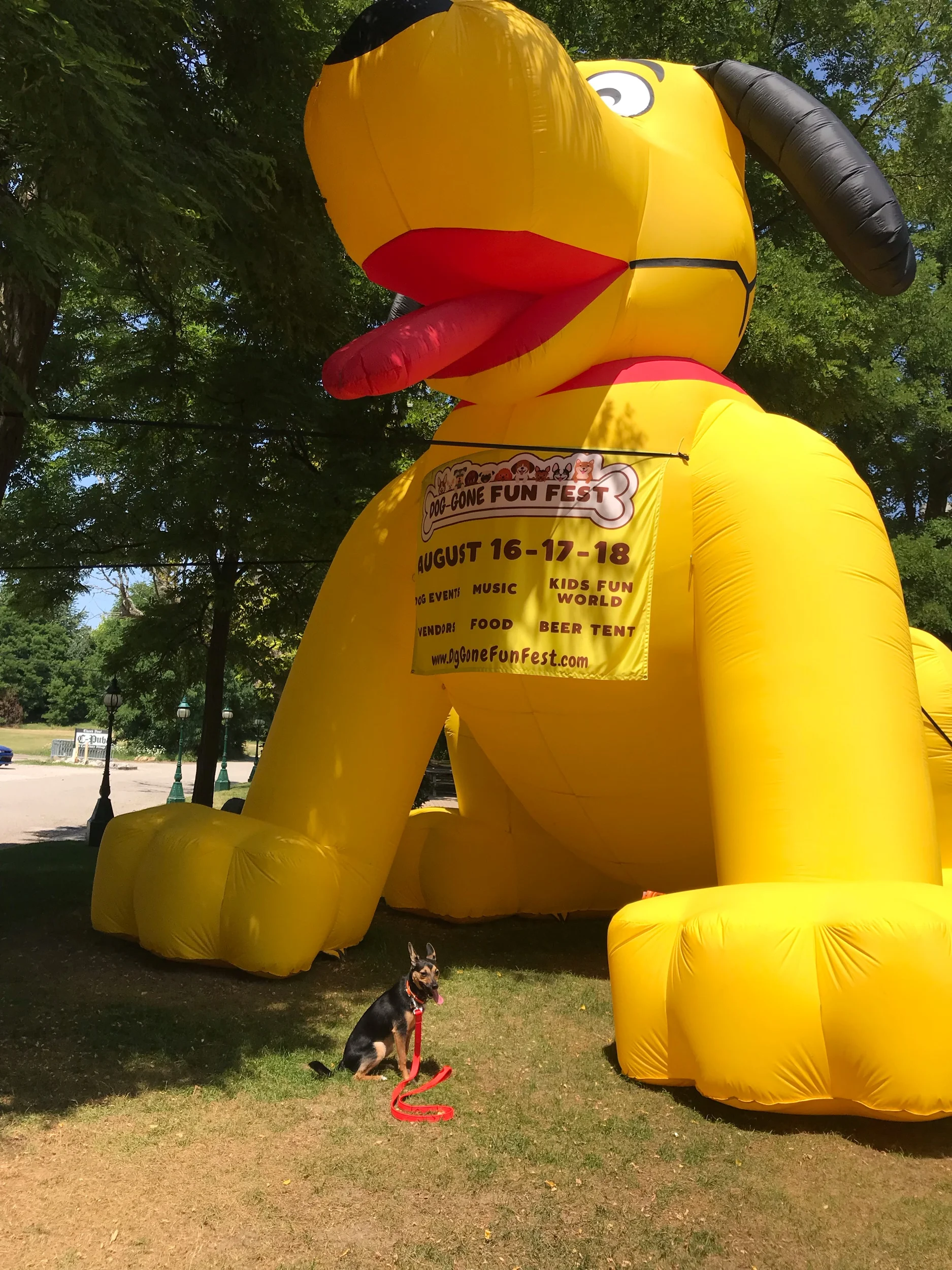 IMG_3297.jpeg