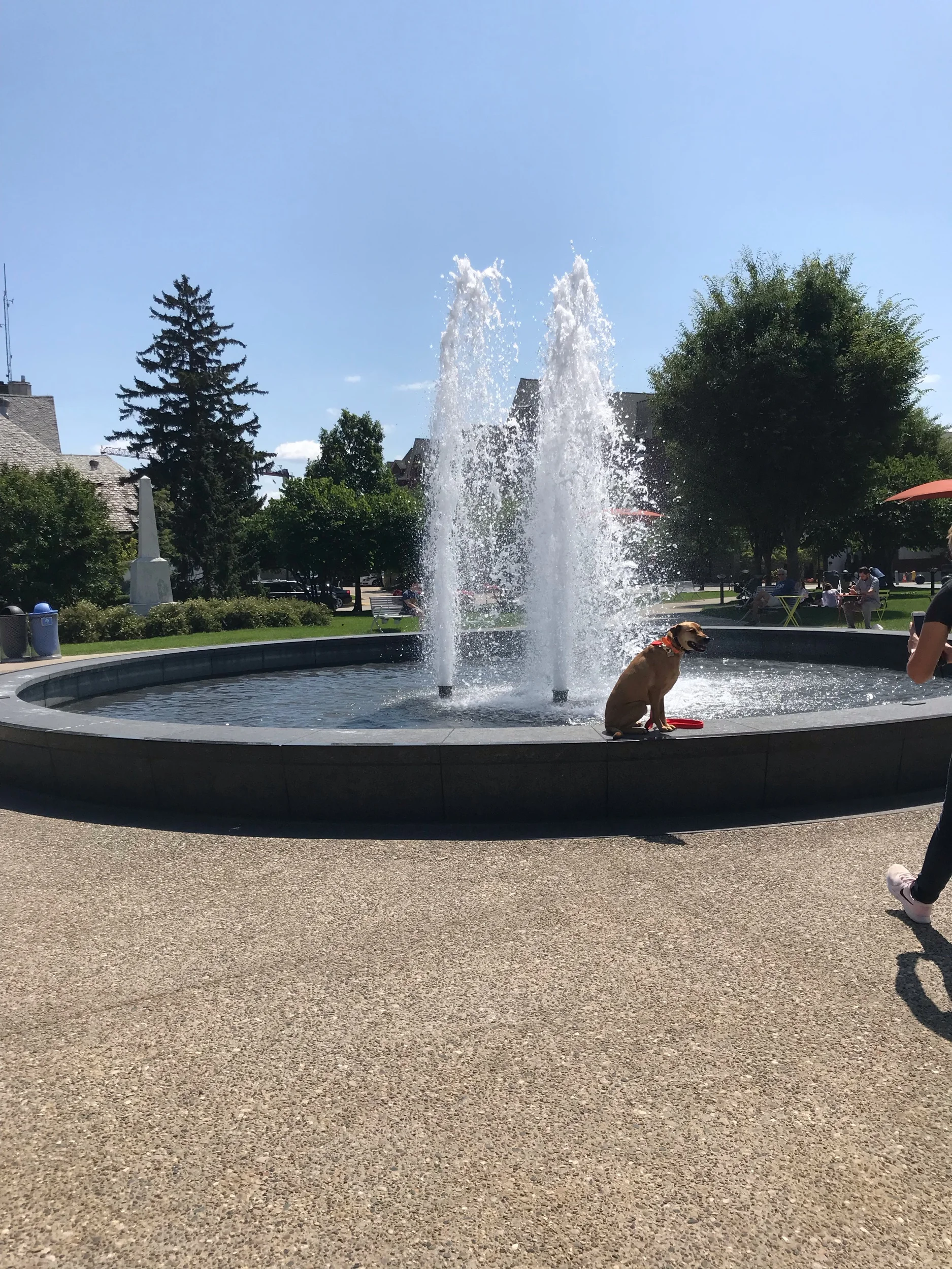 IMG_3355.jpeg