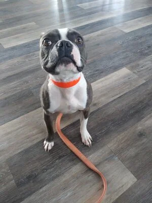 GUS.jpg