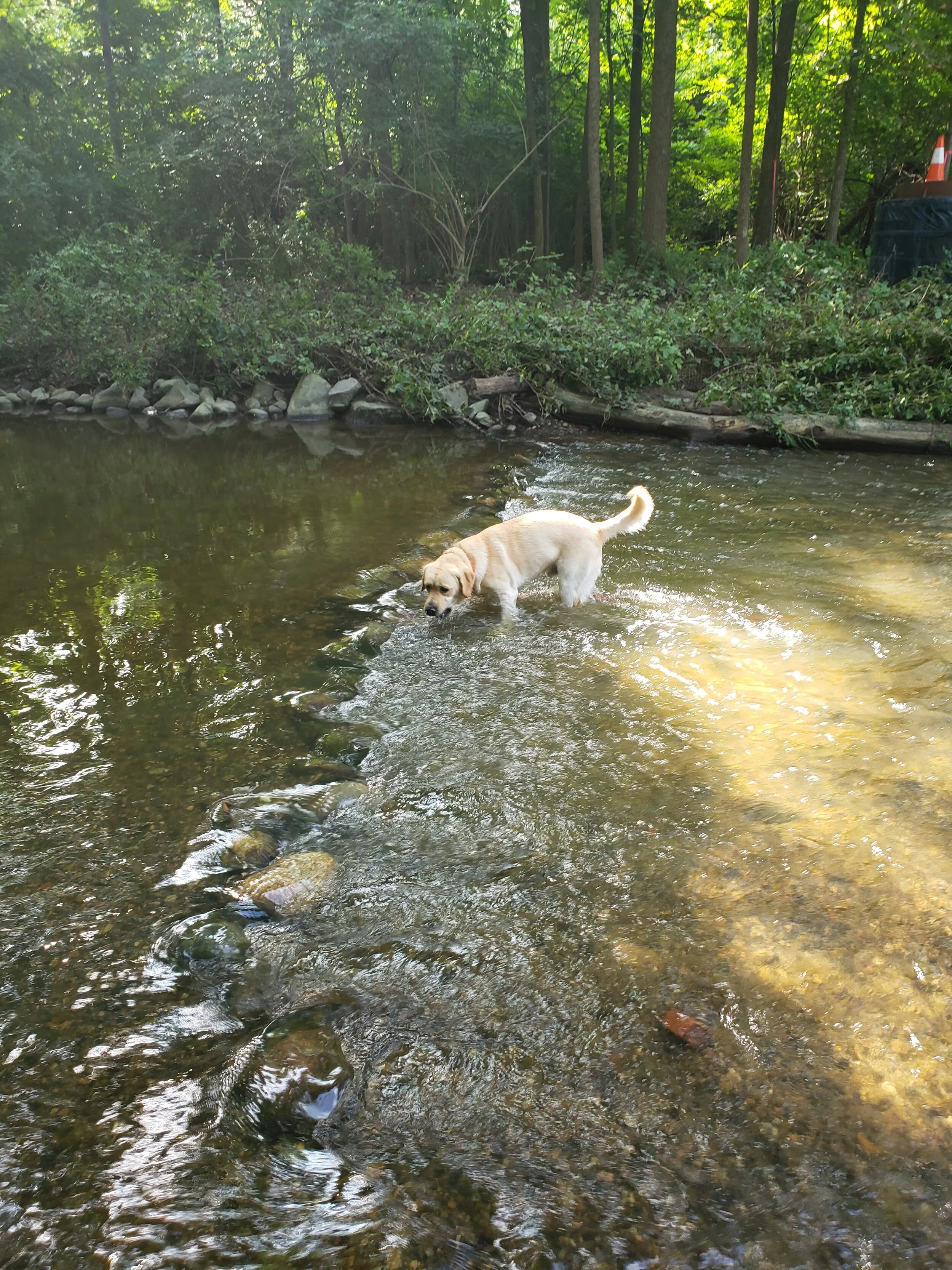 20190816_103404.jpg