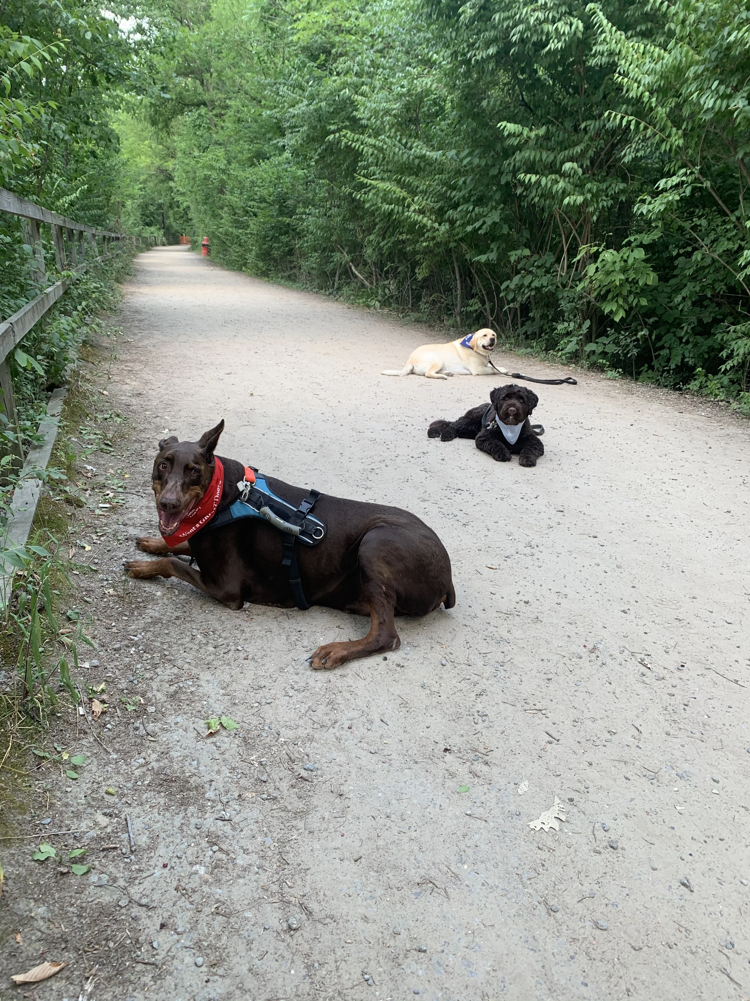 IMG_2019.JPEG