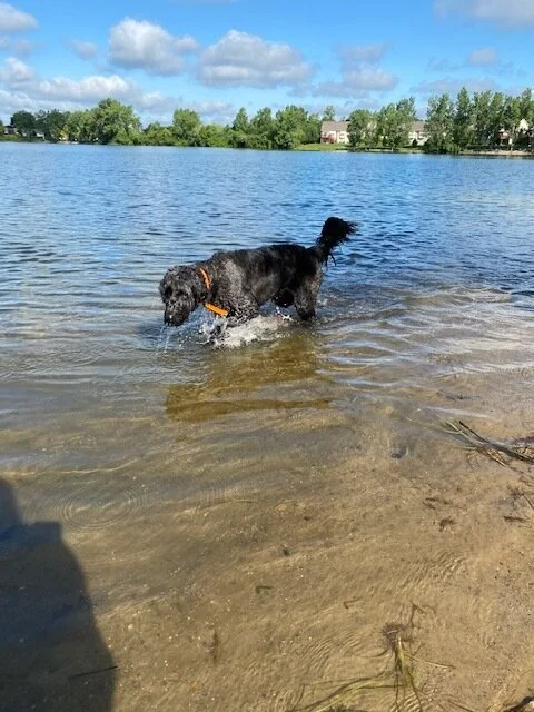 beach1.jpg