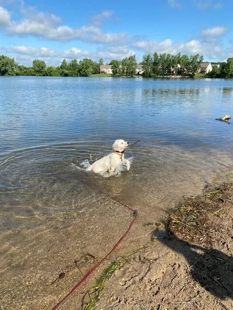 beach3.jpg