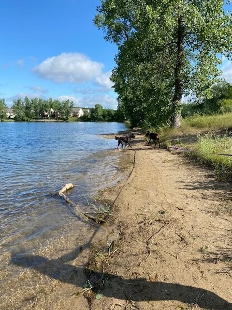 beach2.jpg