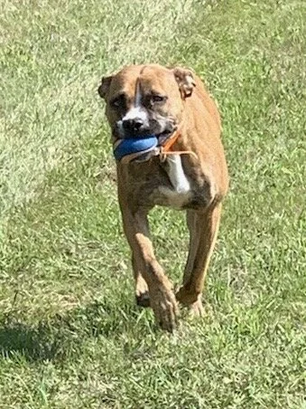 sophie5.JPG