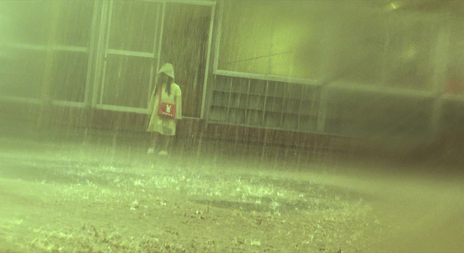 Hideo Nakata's Dark Water (2002) is a film saturated with constant downpours and leaks