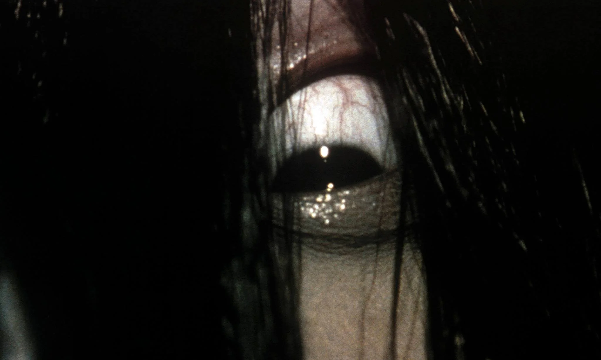 Ringu / The Ring (1998)