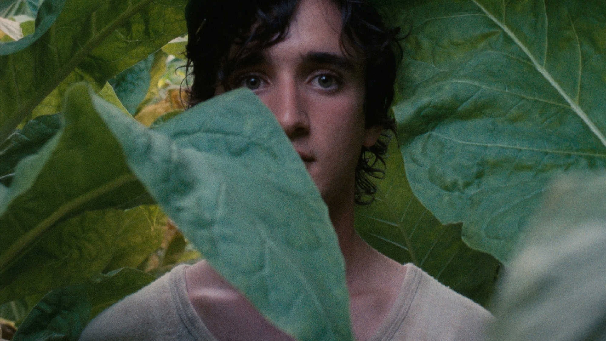 Happy As Lazzaro (2019)