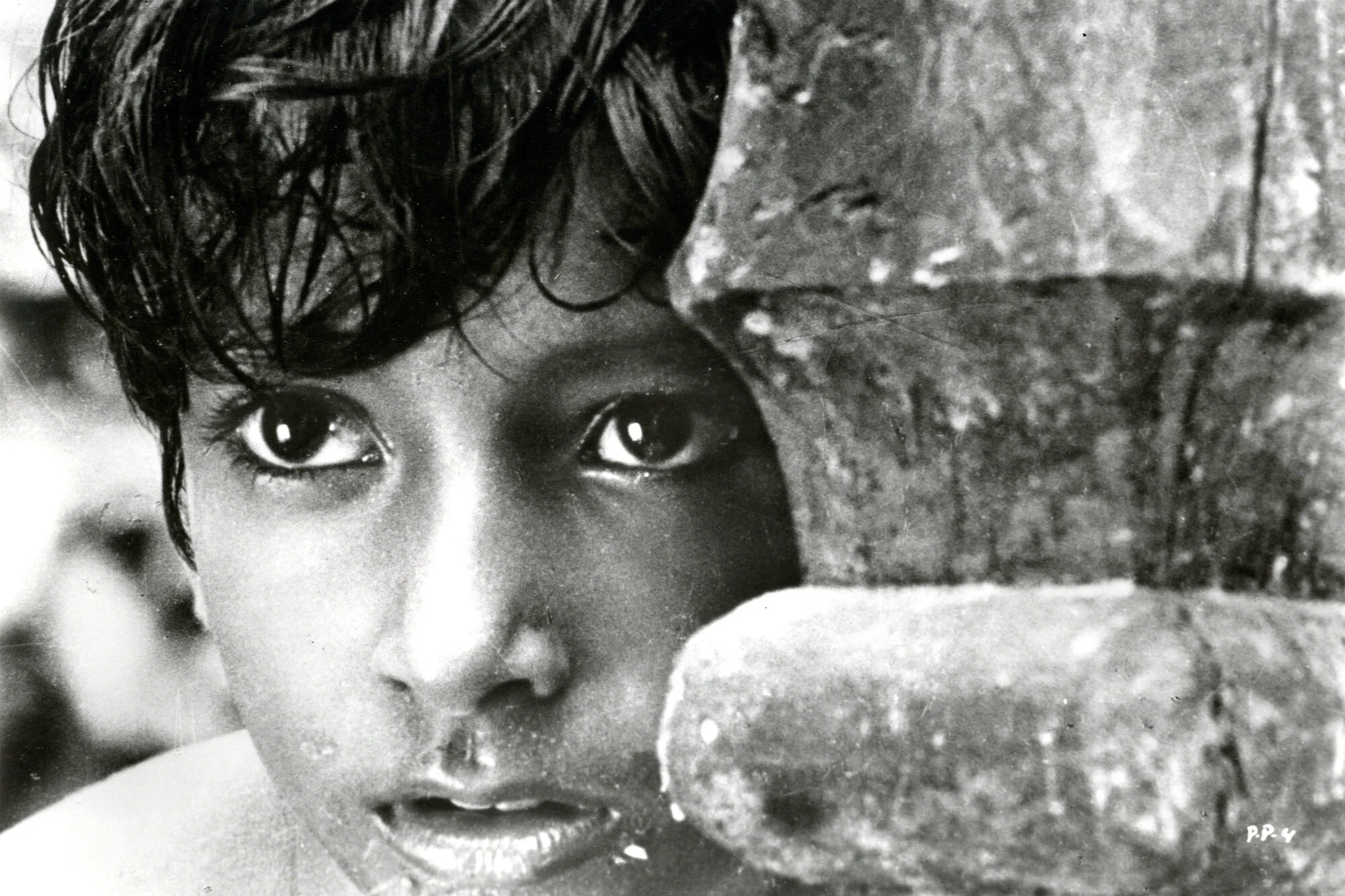 Pather Panchali (1955)