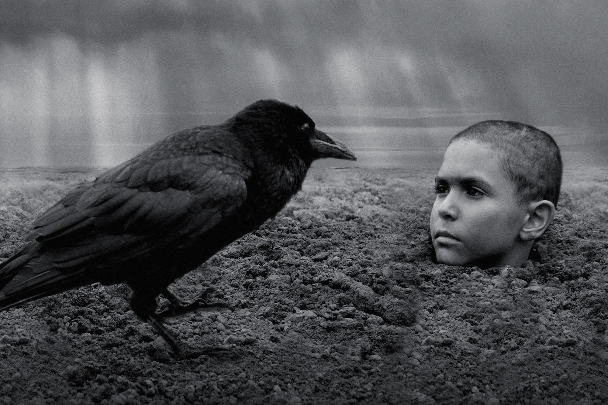CANCELLED - The Painted Bird (2019)