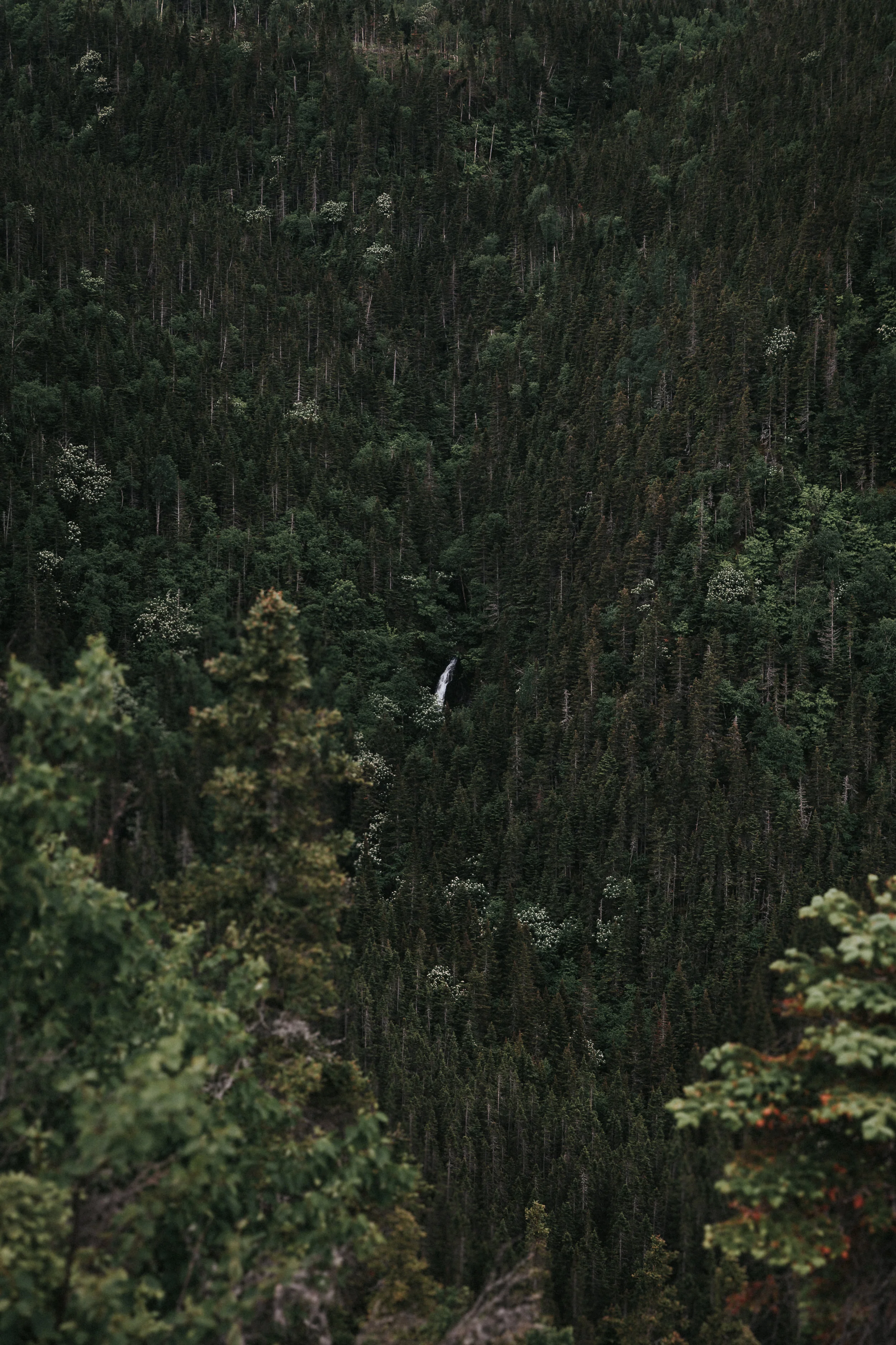 magaliemasseyphotographe-06.jpg