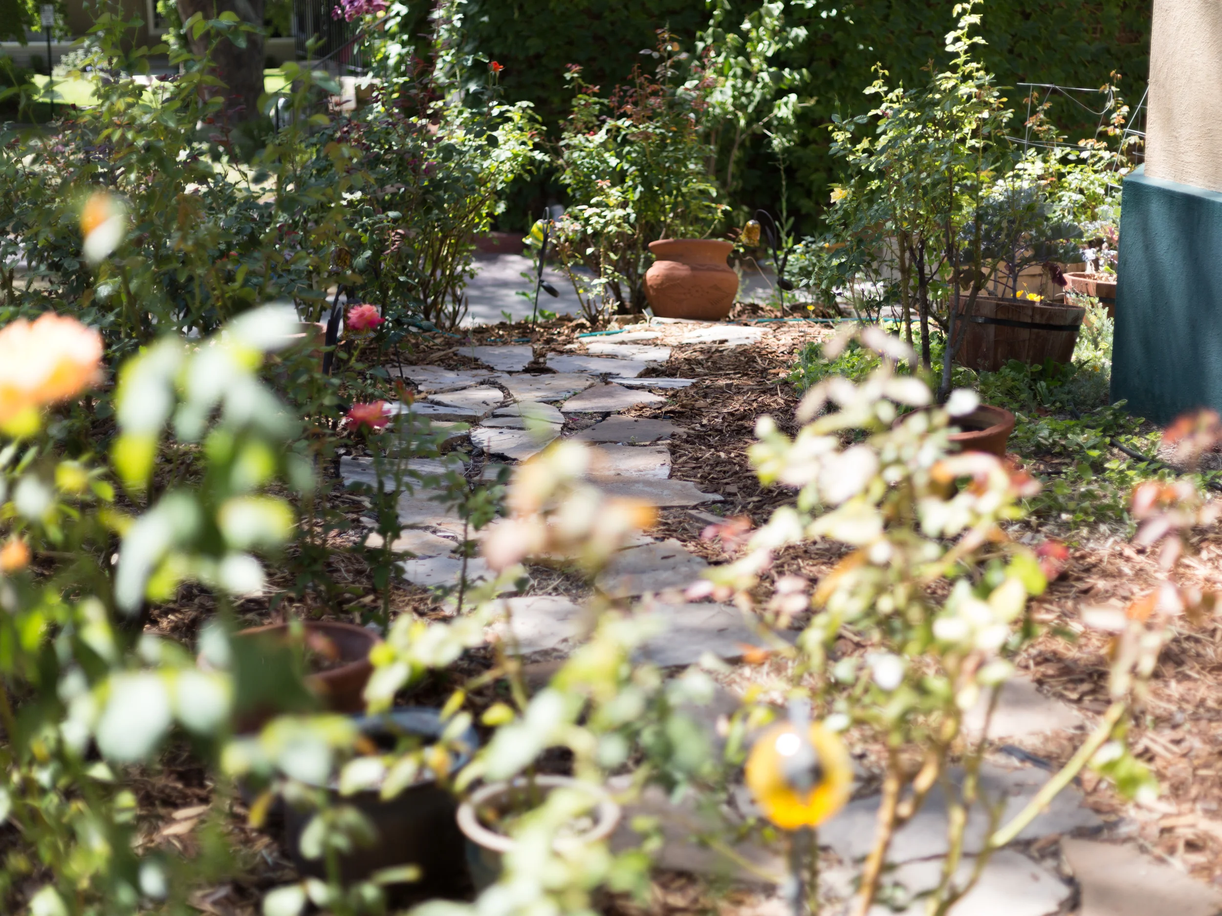 61 Virginia Garden