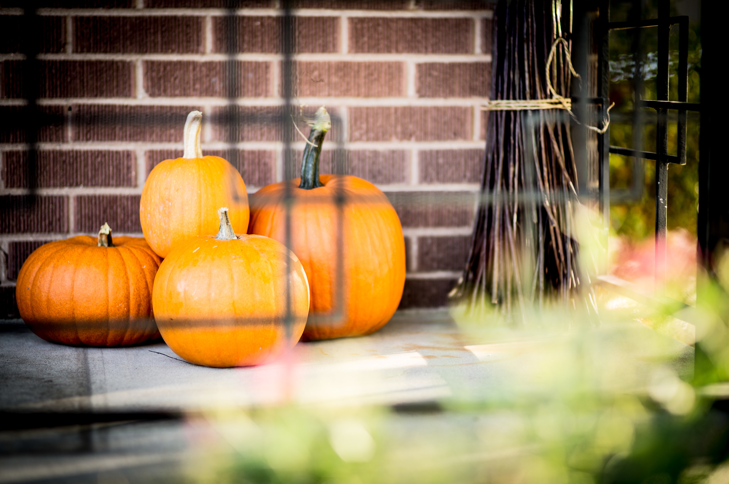 5 Fall Activites In Salt Lake City