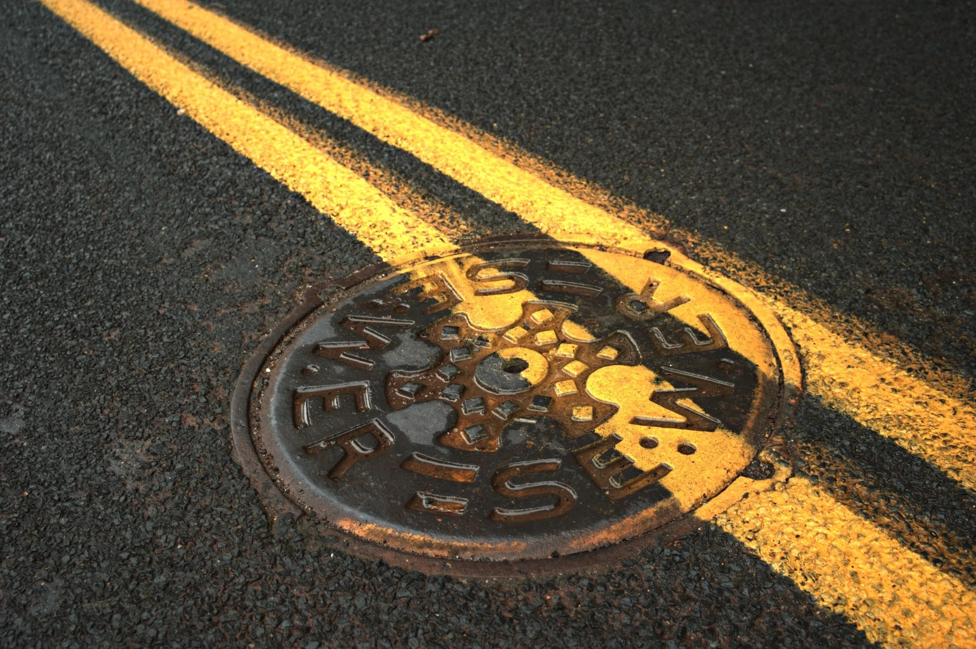 Should I Scope the Sewer Line Before Buying A House? 