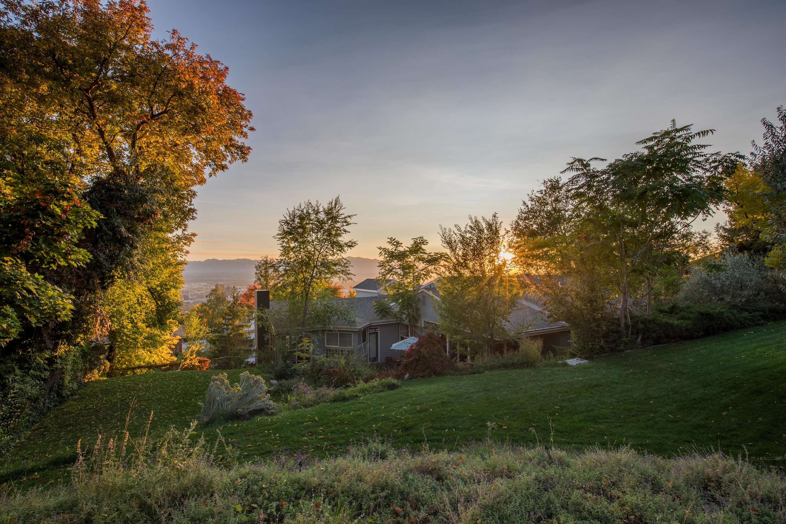 B31A6783-HDR.jpg
