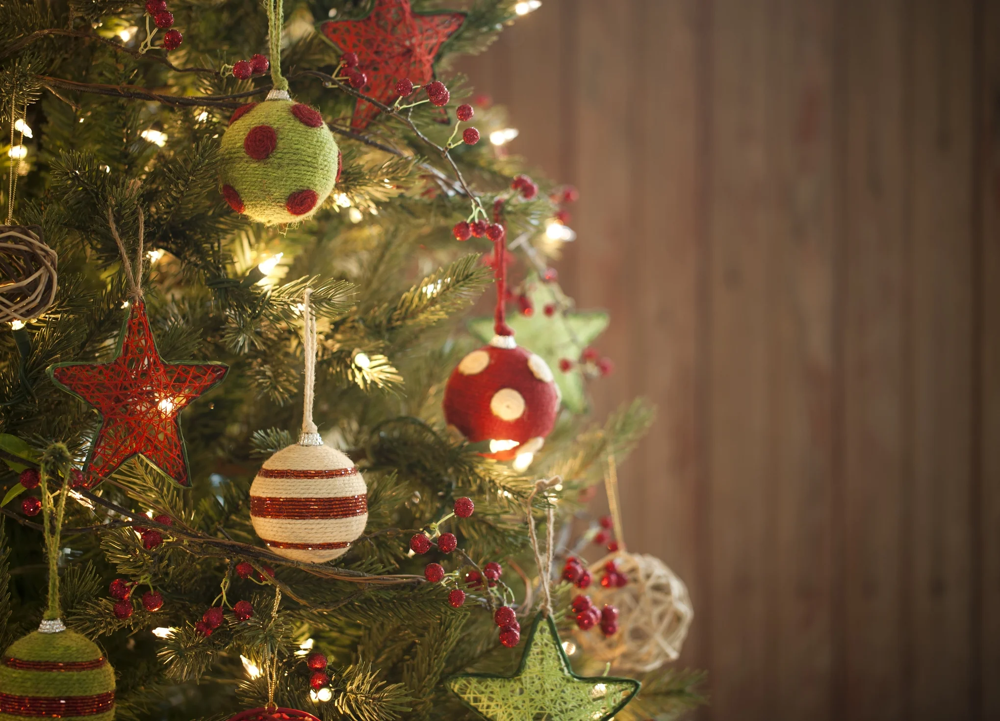 7 Christmas Tree Care Tips for a Healthier Tree