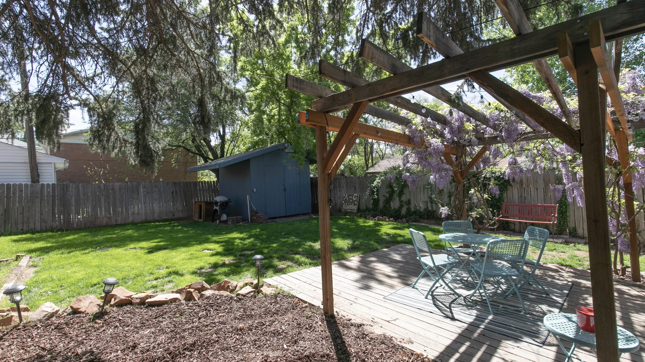 backyard1.JPG