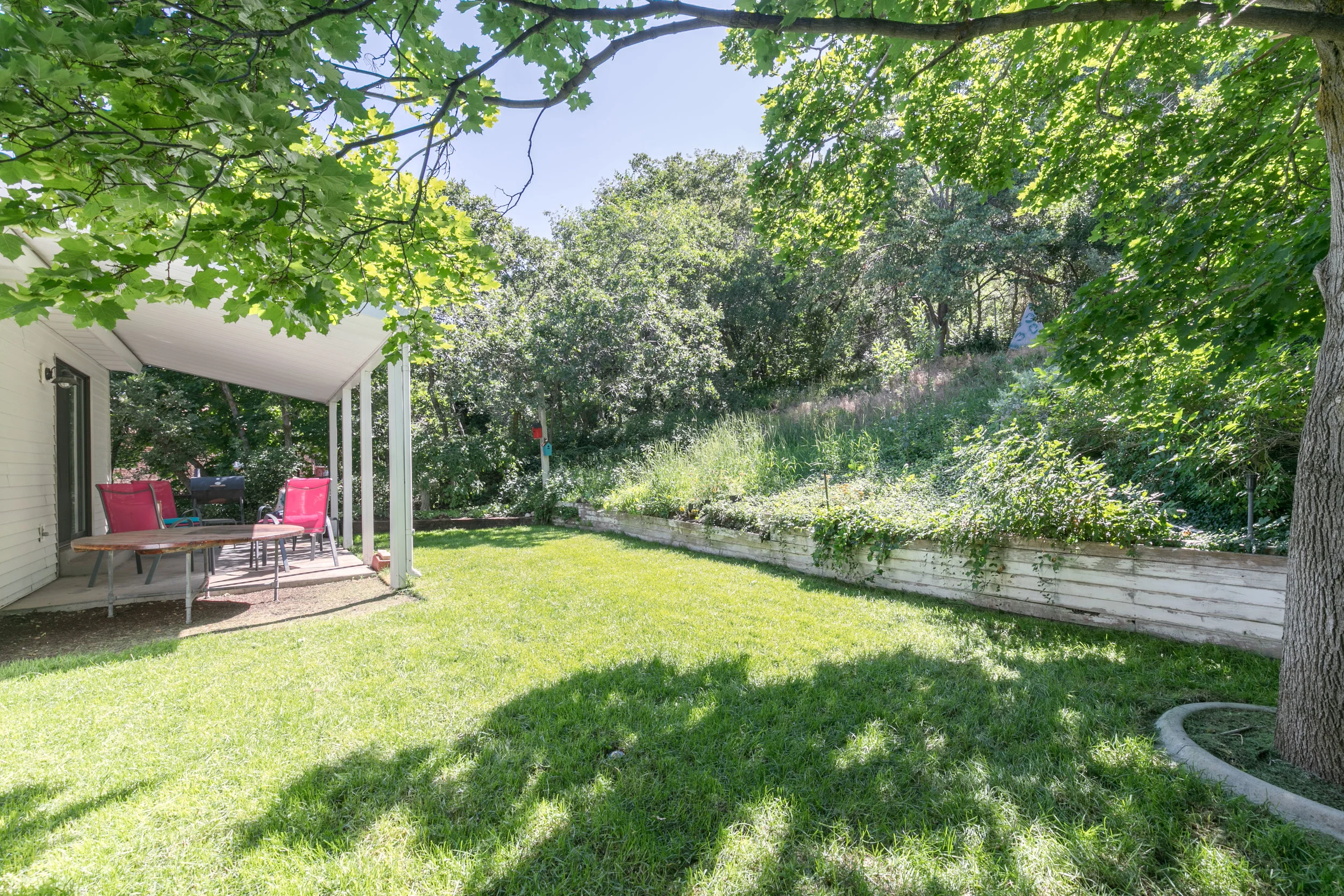 19 backyard 2.jpg
