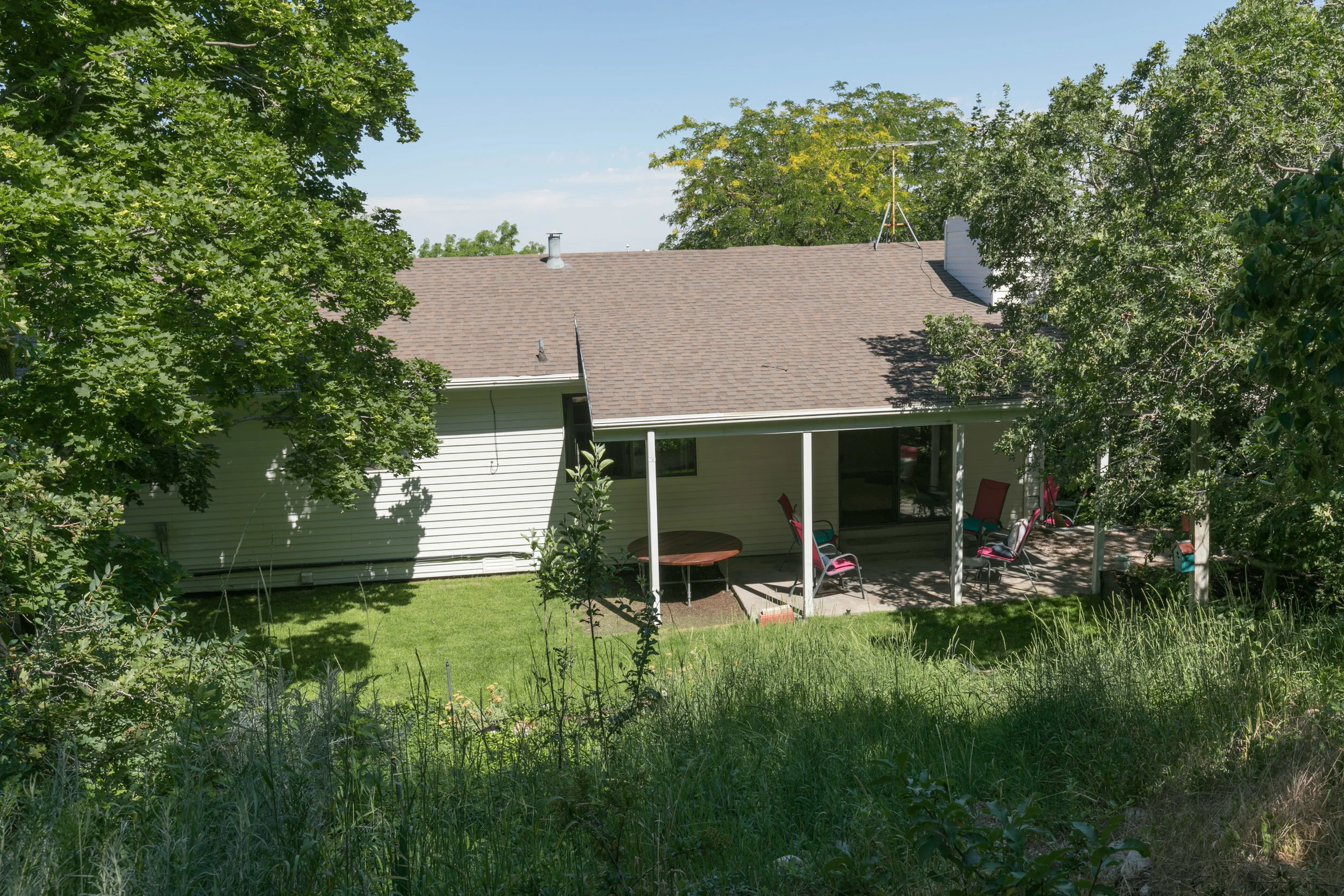 21 backyard 3.jpg