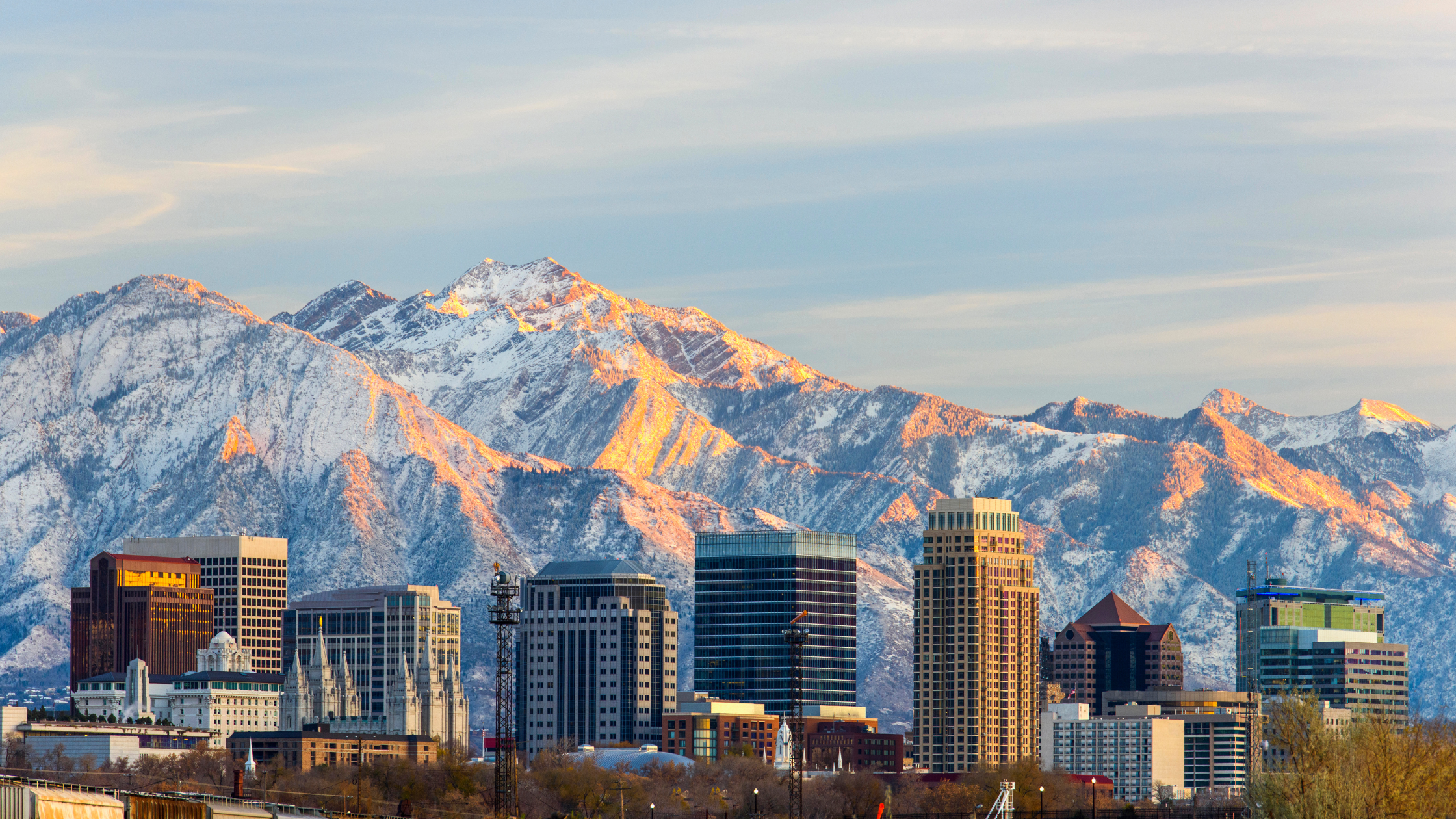 Store Banner Pic.png