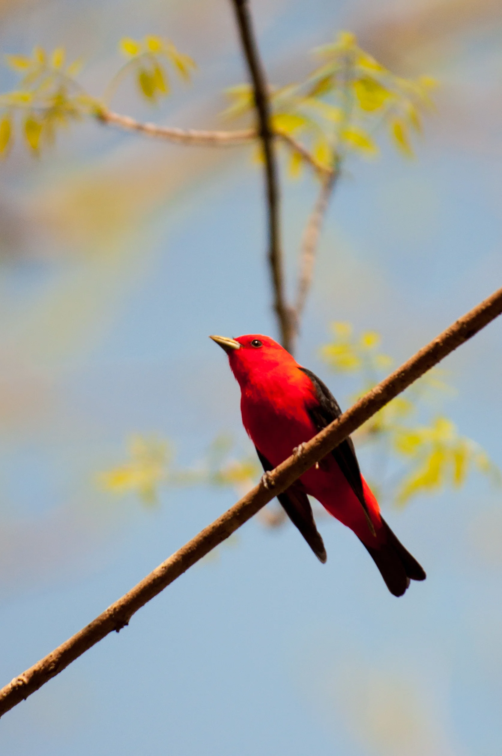 Bird Watching (35 of 152).jpg